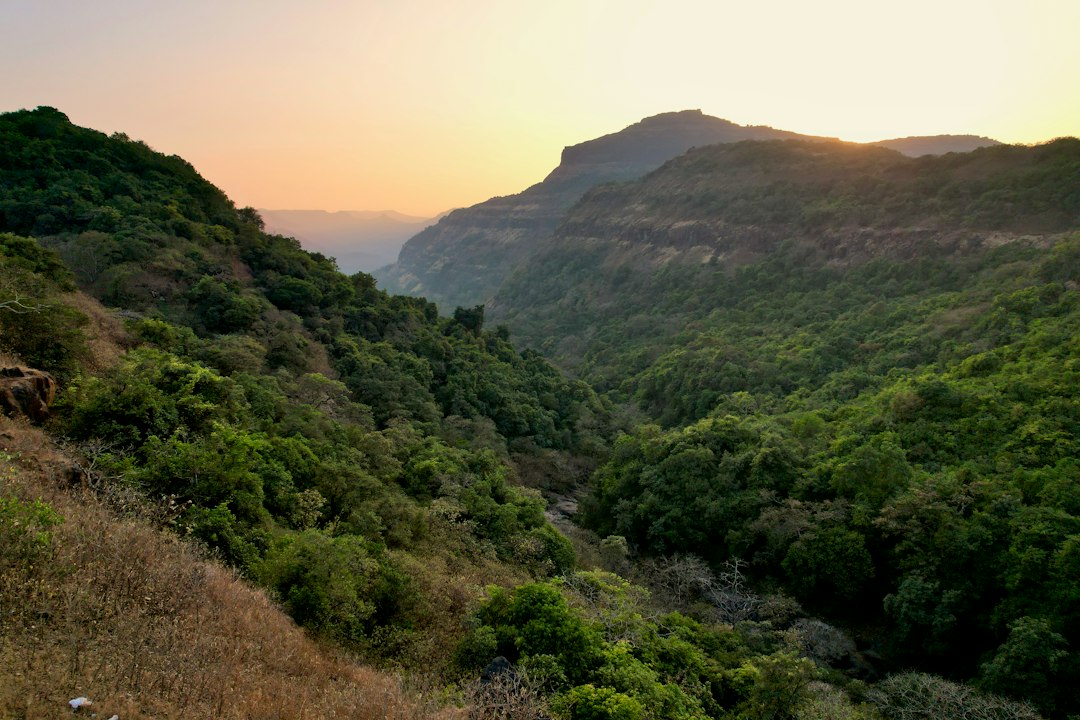 7 Hidden Gems Along the Scenic Route from Bangalore to Sharavathi V… — 7 Hidden Gems Along the Scenic