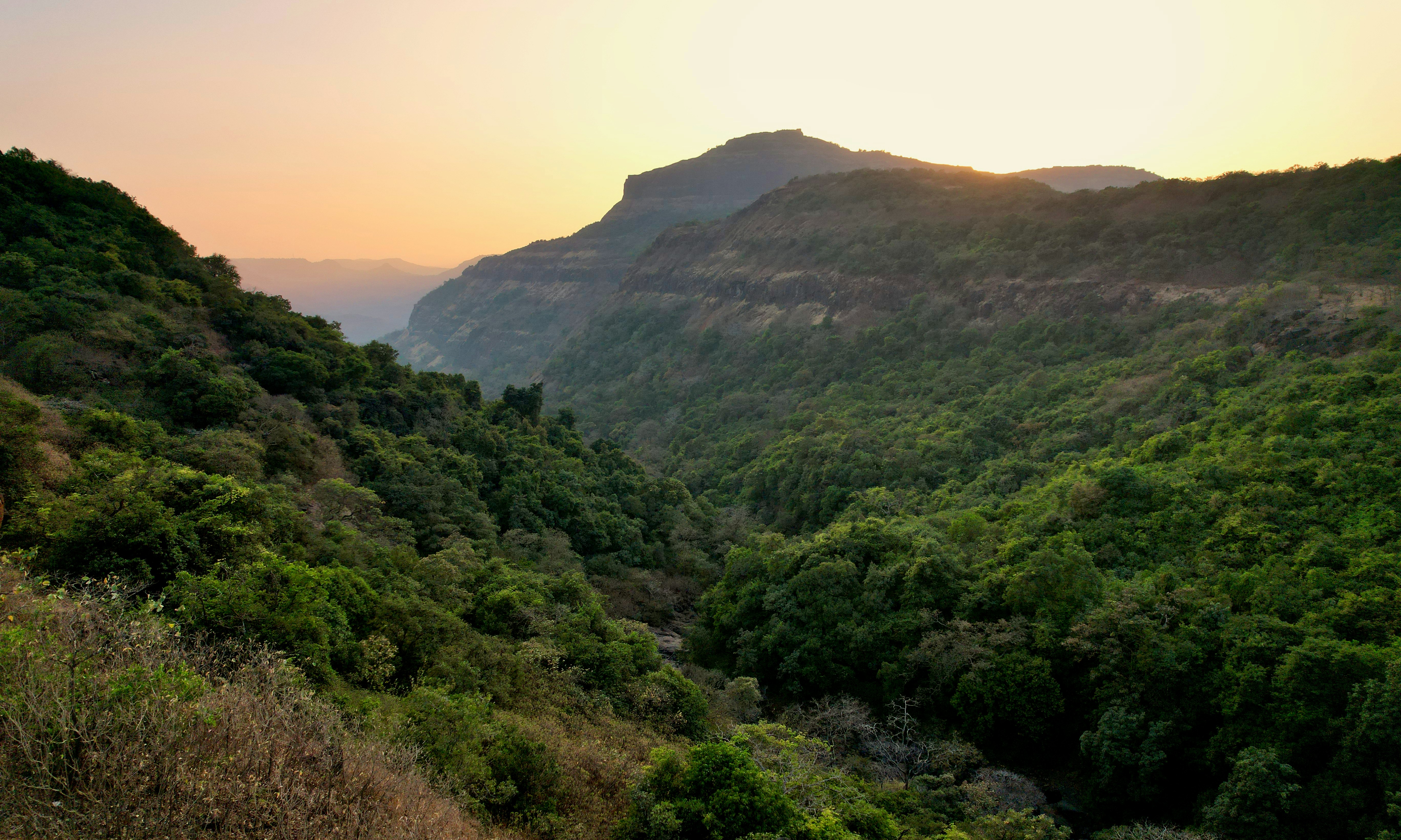 Photo by zoshuacolah