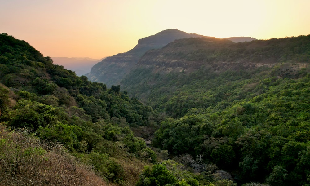 the sun is setting over the mountains and trees