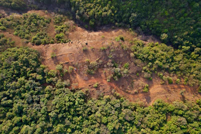 Deforestation Monitoring