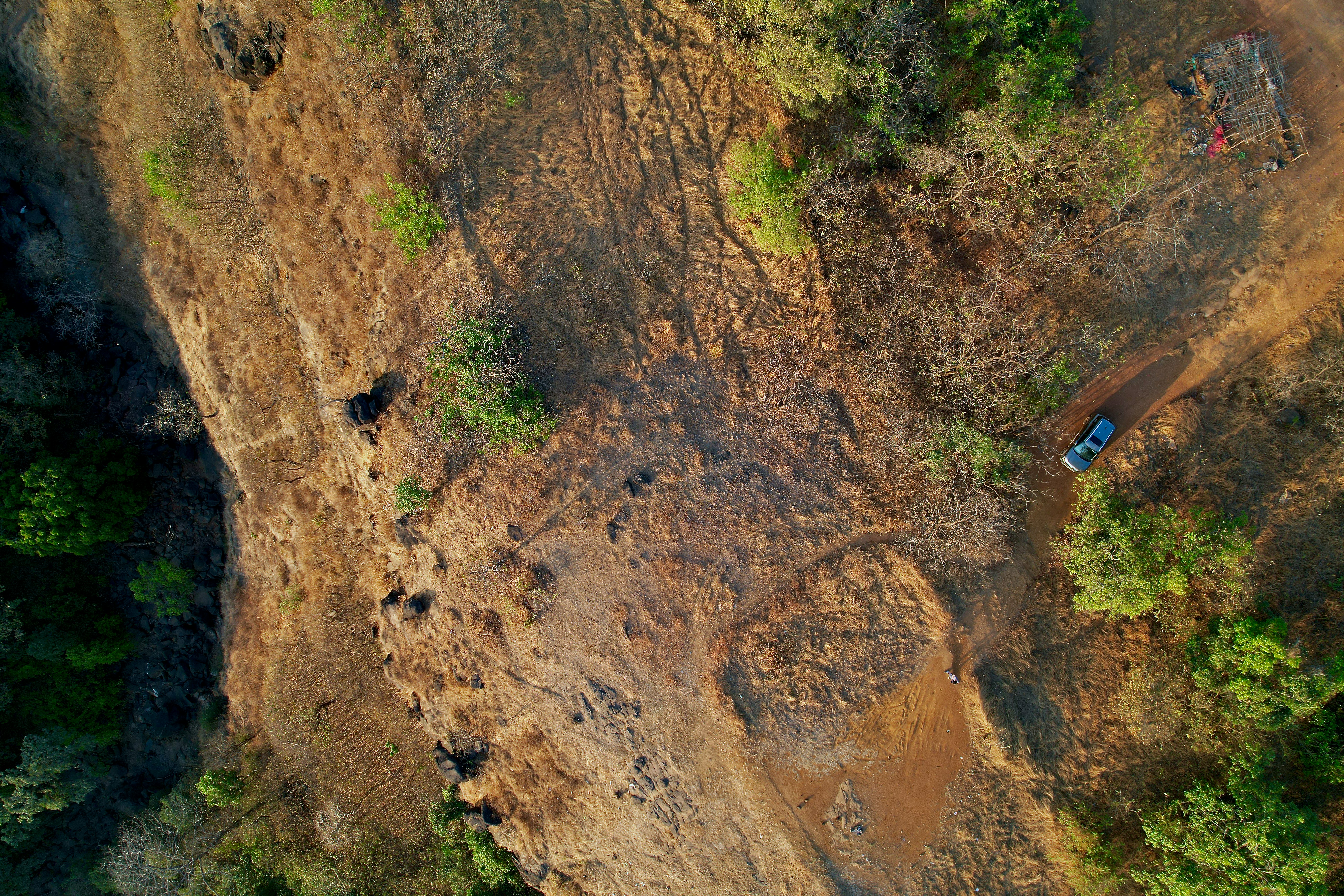 an aerial view of a dirt field and trees