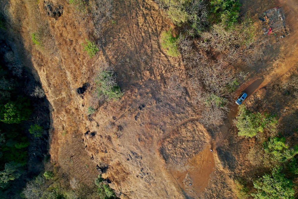 Una veduta aerea di un campo di terra e alberi