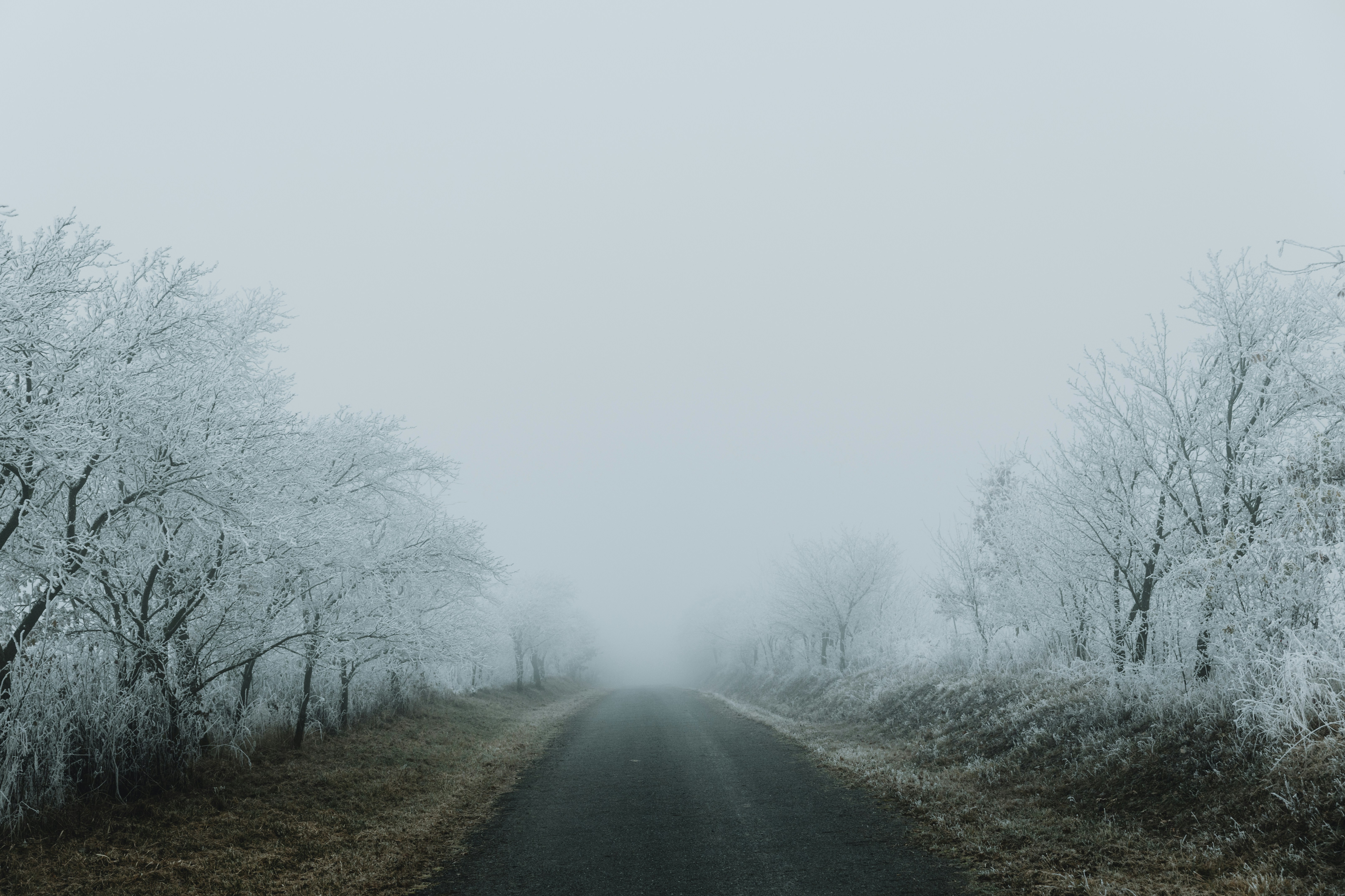 Photo by tomashudolin