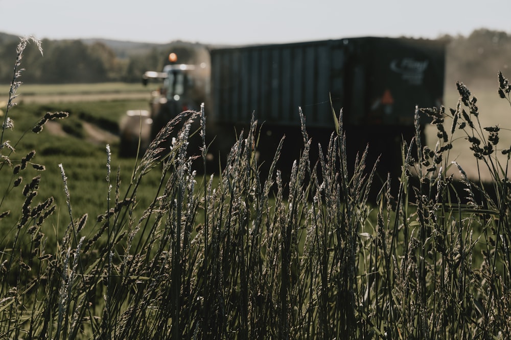 a truck driving down a road next to a lush green field