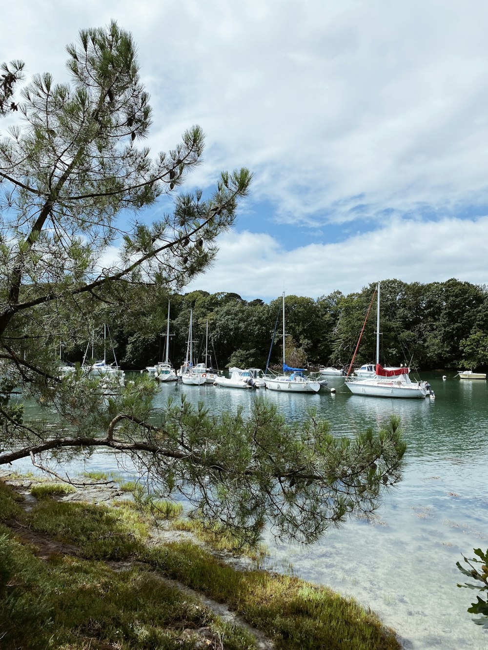 Eine Gruppe von Booten, die auf einem See treiben