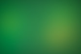a blurry green background with a white border