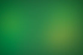a blurry green background with a white border