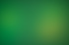 a blurry green background with a white border
