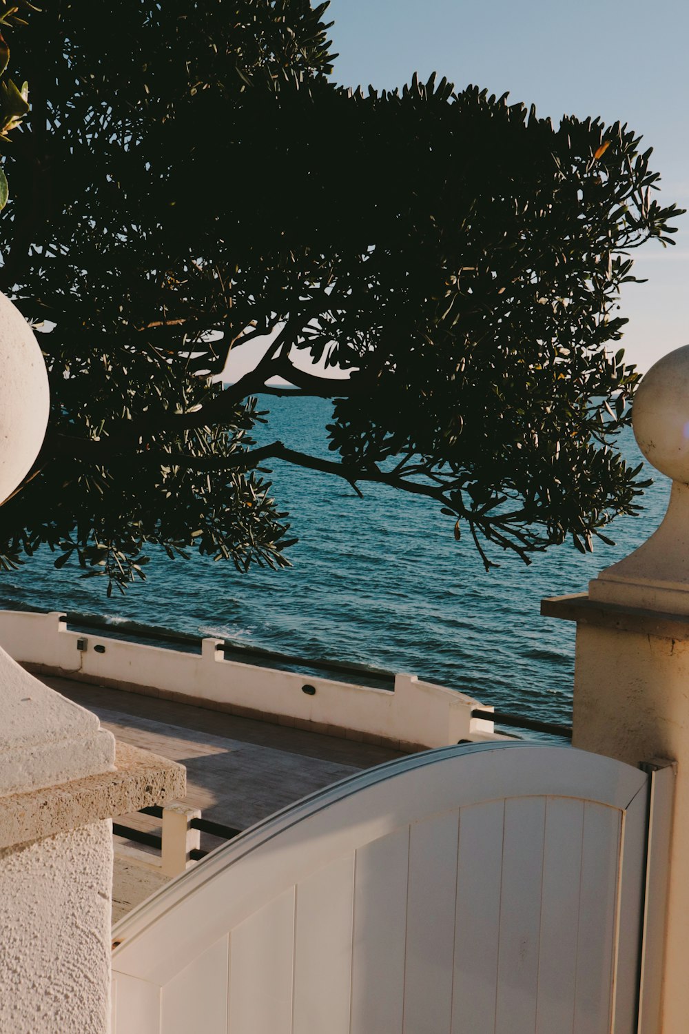 a white gate with a tree over looking a body of water