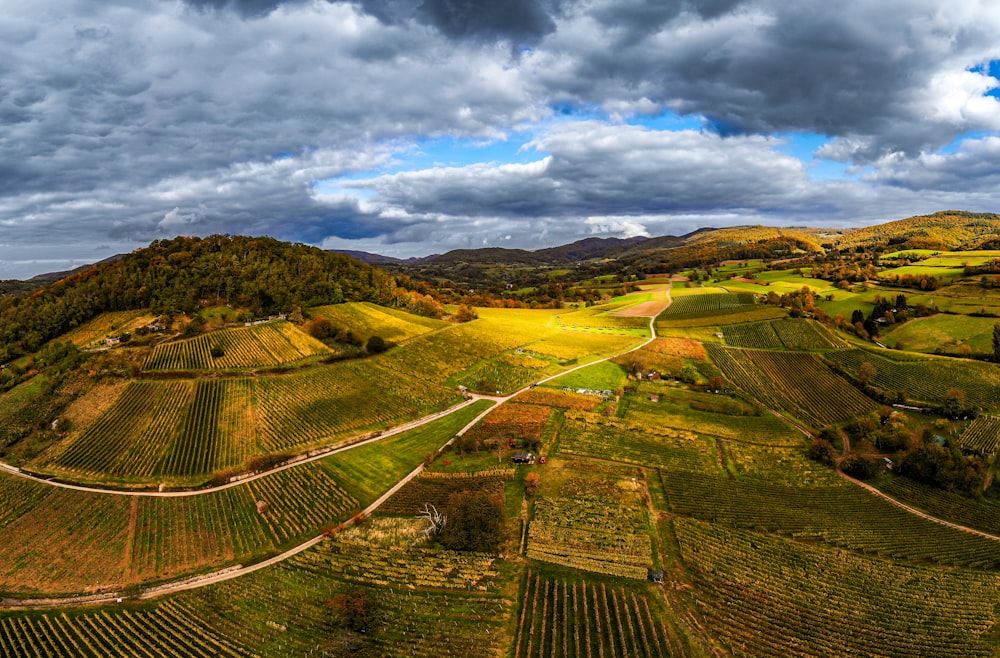 an aerial view of a vineyard in the hills