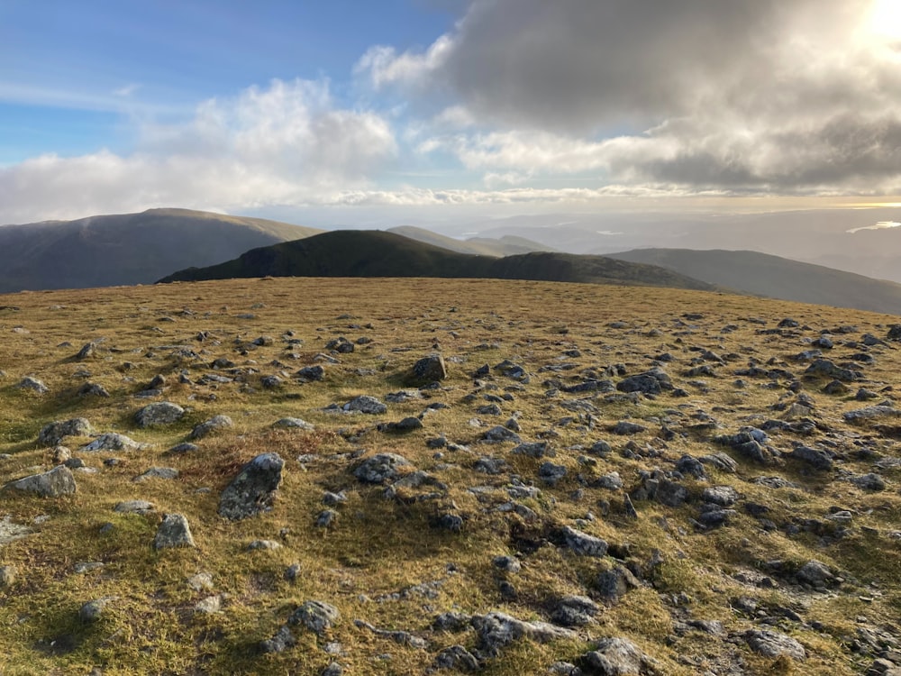 a grassy field with rocks and grass in the foreground