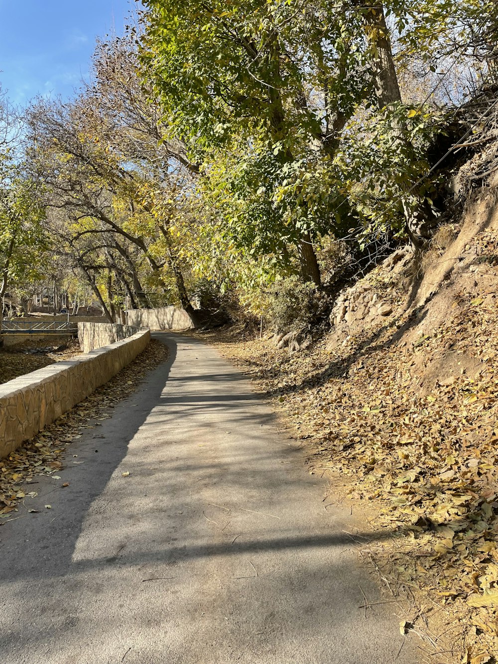 a paved road with trees on both sides of it