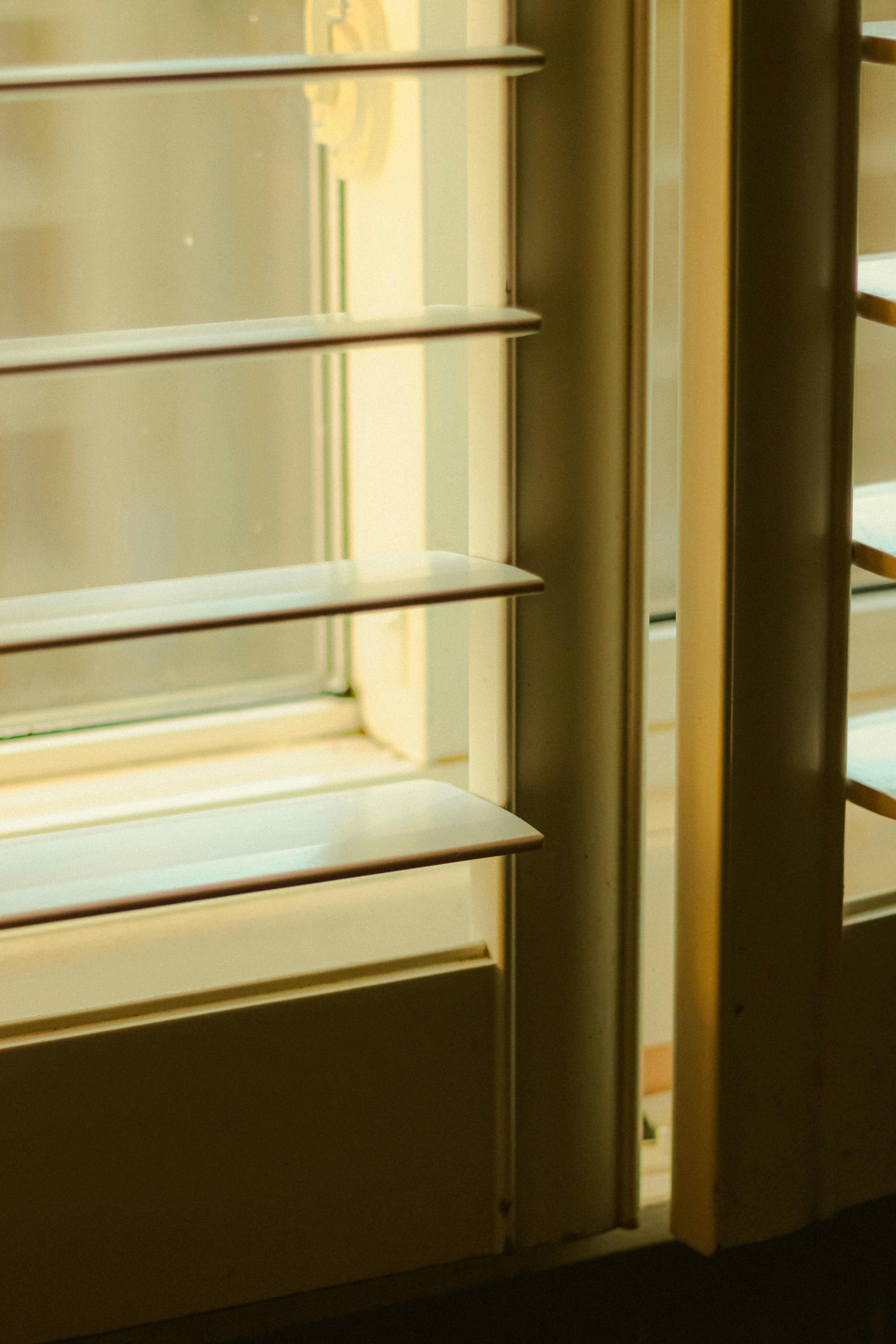 Photo by linusbelanger