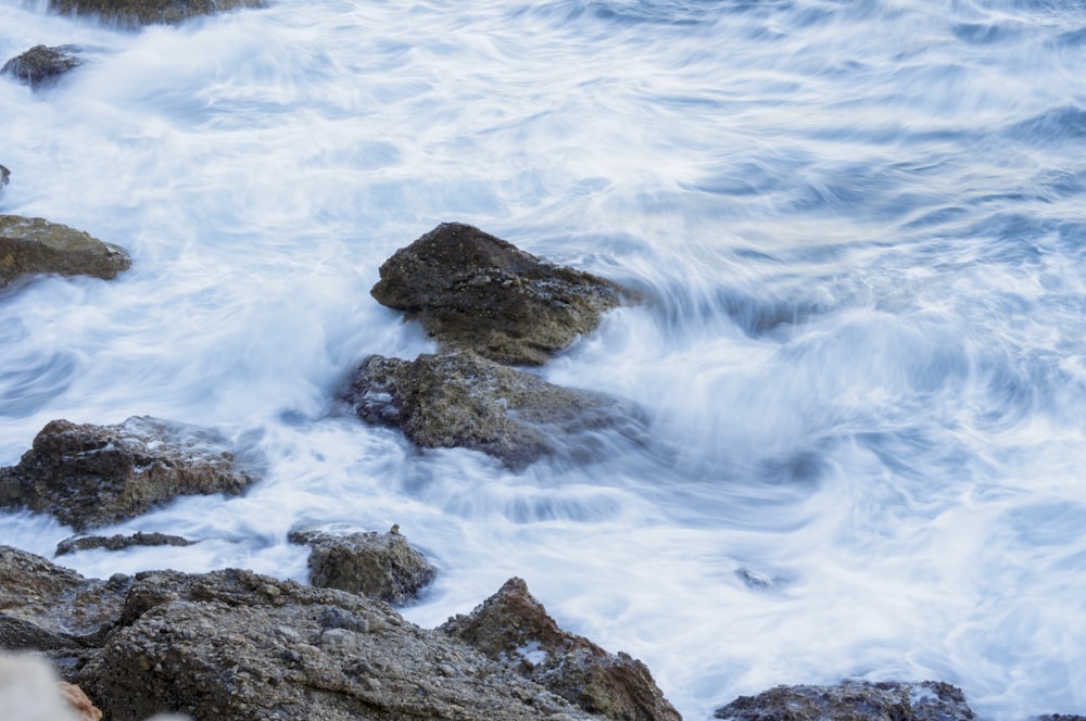 a bird is sitting on some rocks by the water