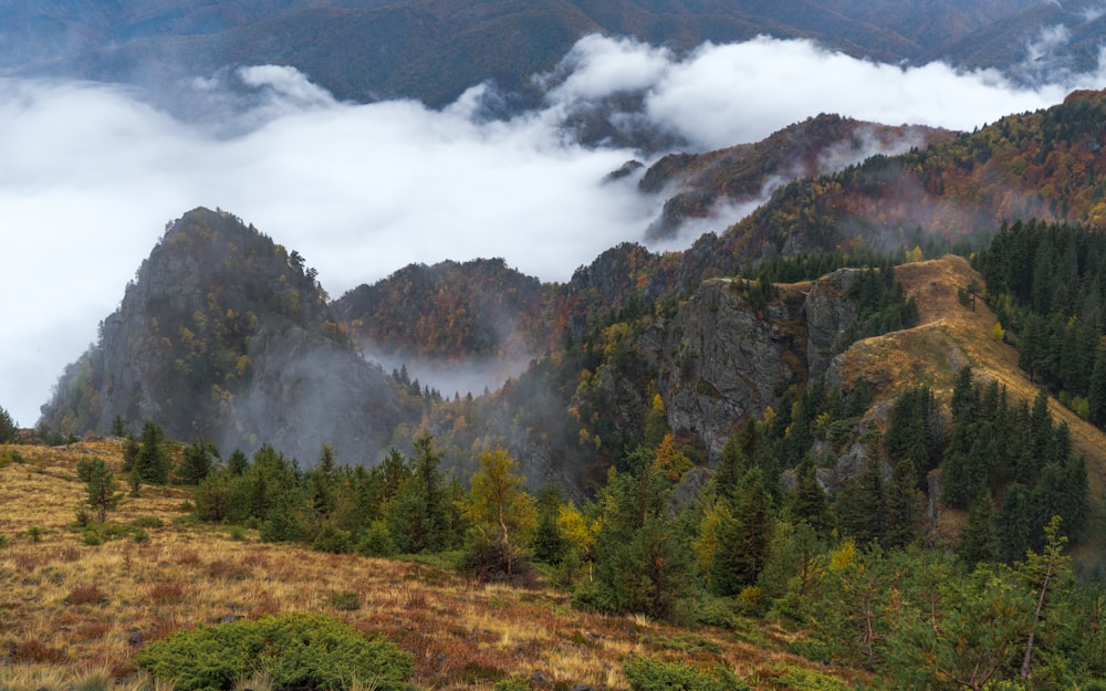 a view of a mountain covered in clouds and trees