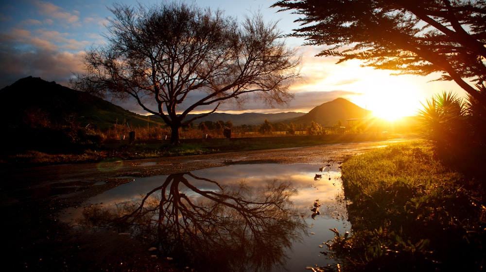 the sun is setting over a small pond