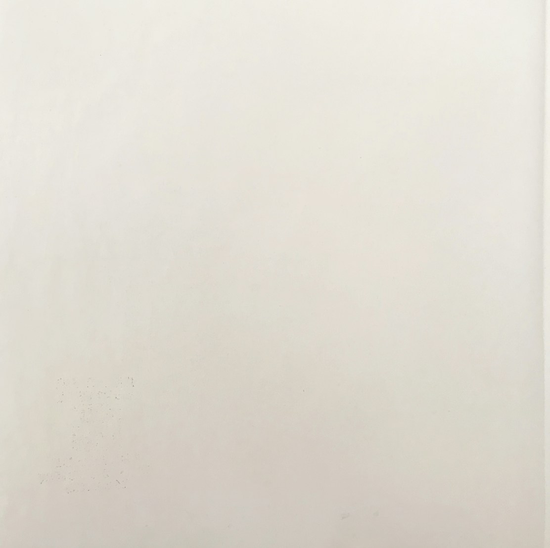 a black and white photo of a person holding a cell phone