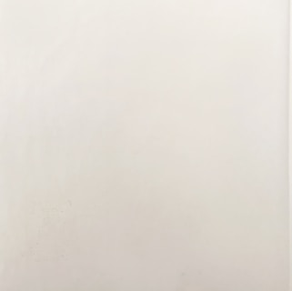 a black and white photo of a person holding a cell phone