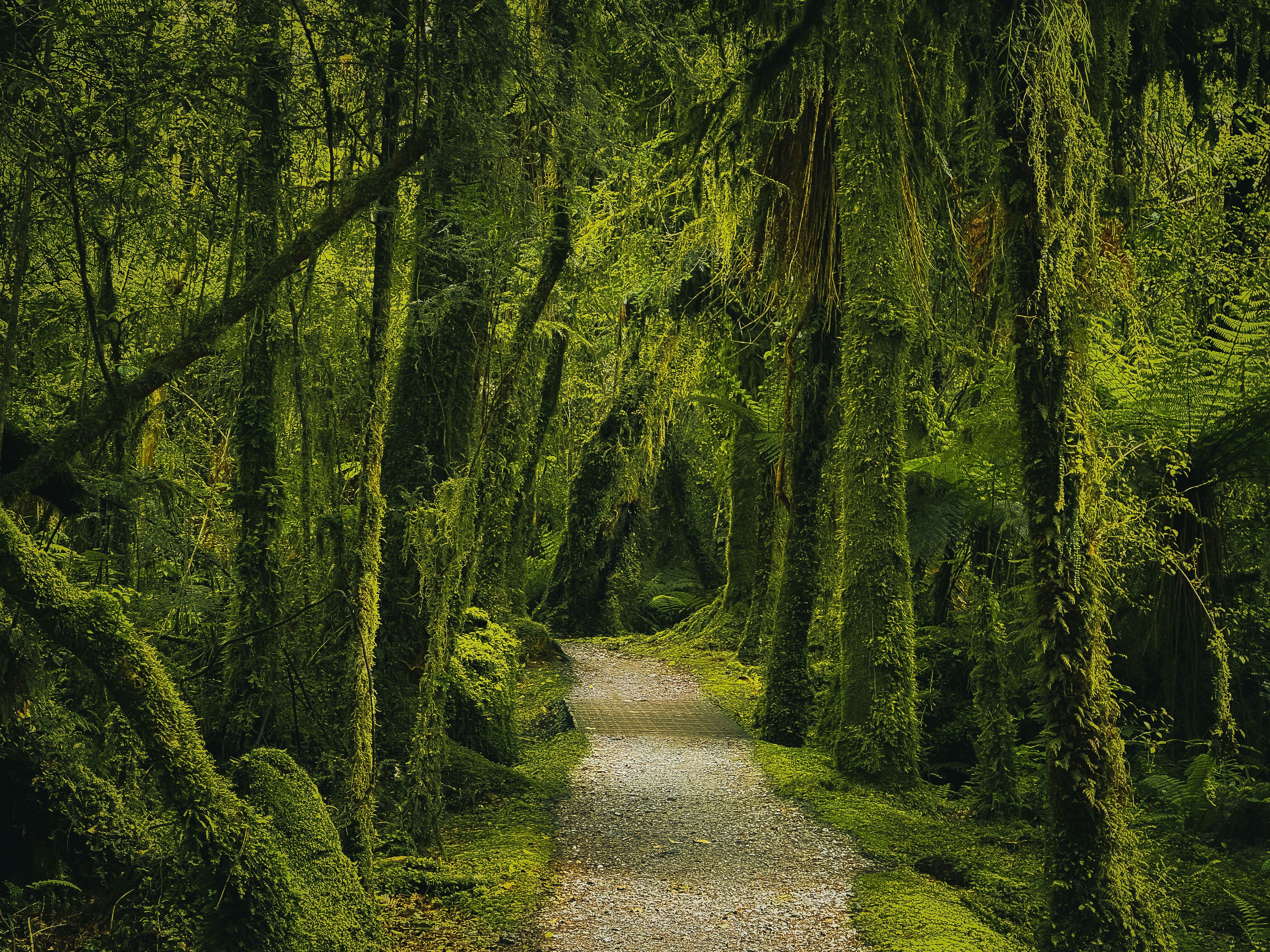 Photo by avignakaran