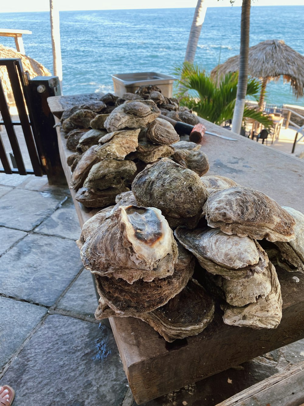 a bunch of oysters sitting on a table by the ocean
