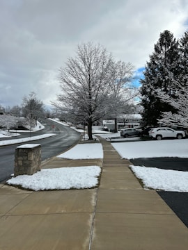 a sidewalk with snow on the ground and cars parked on the side of the road