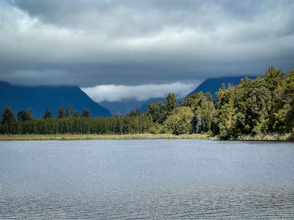 a large body of water surrounded by trees