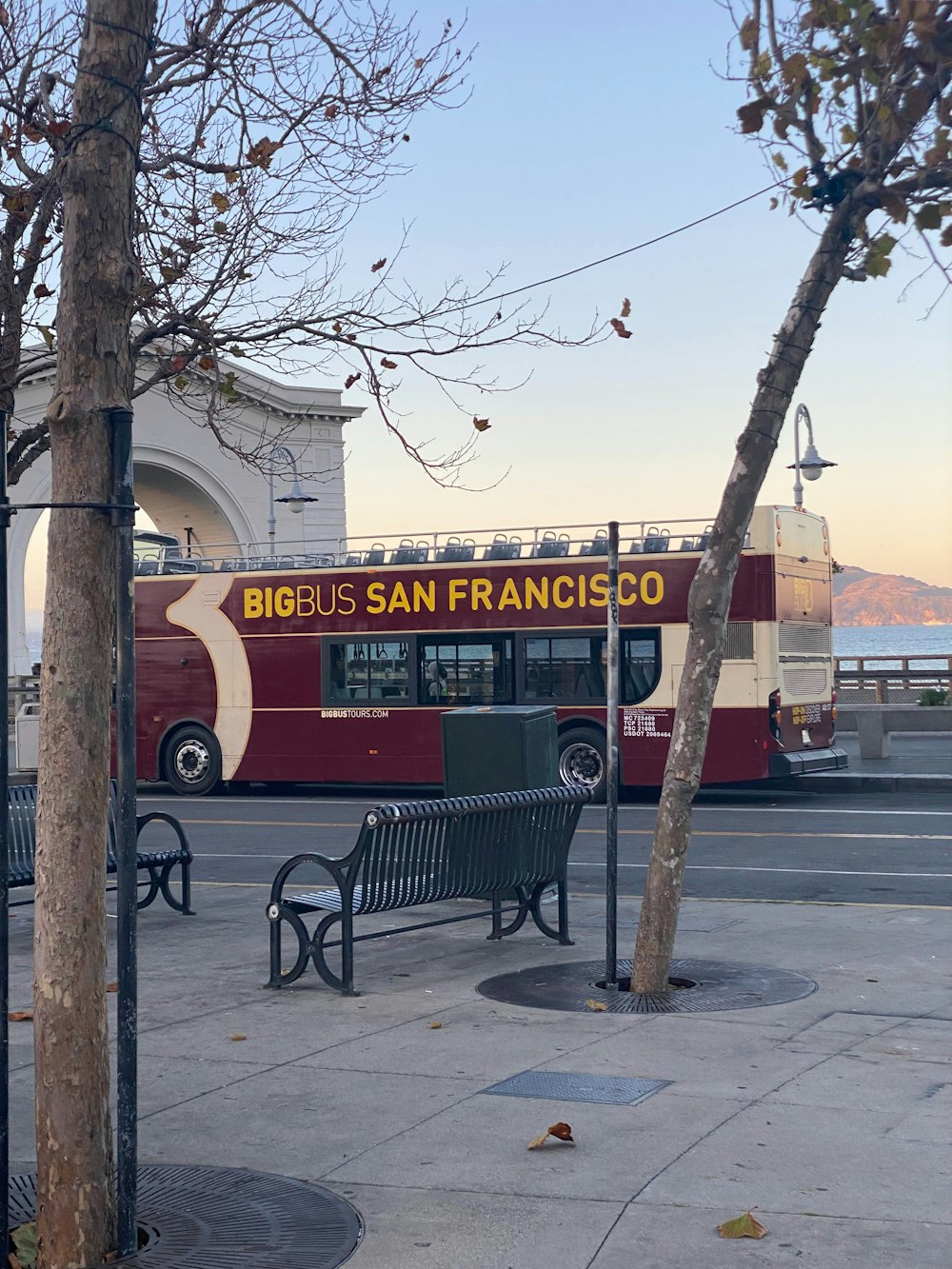 a bus parked next to a tree on a street