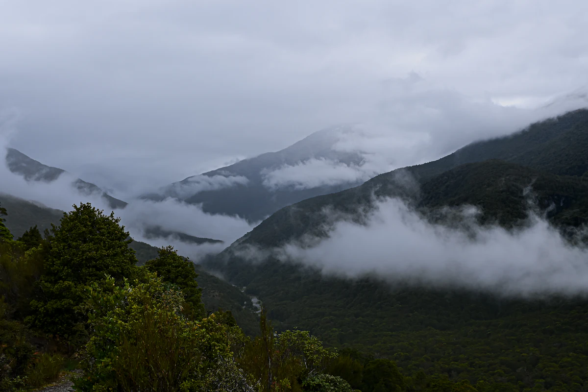 Cloud hanging in the forested valleys of Haast Pass