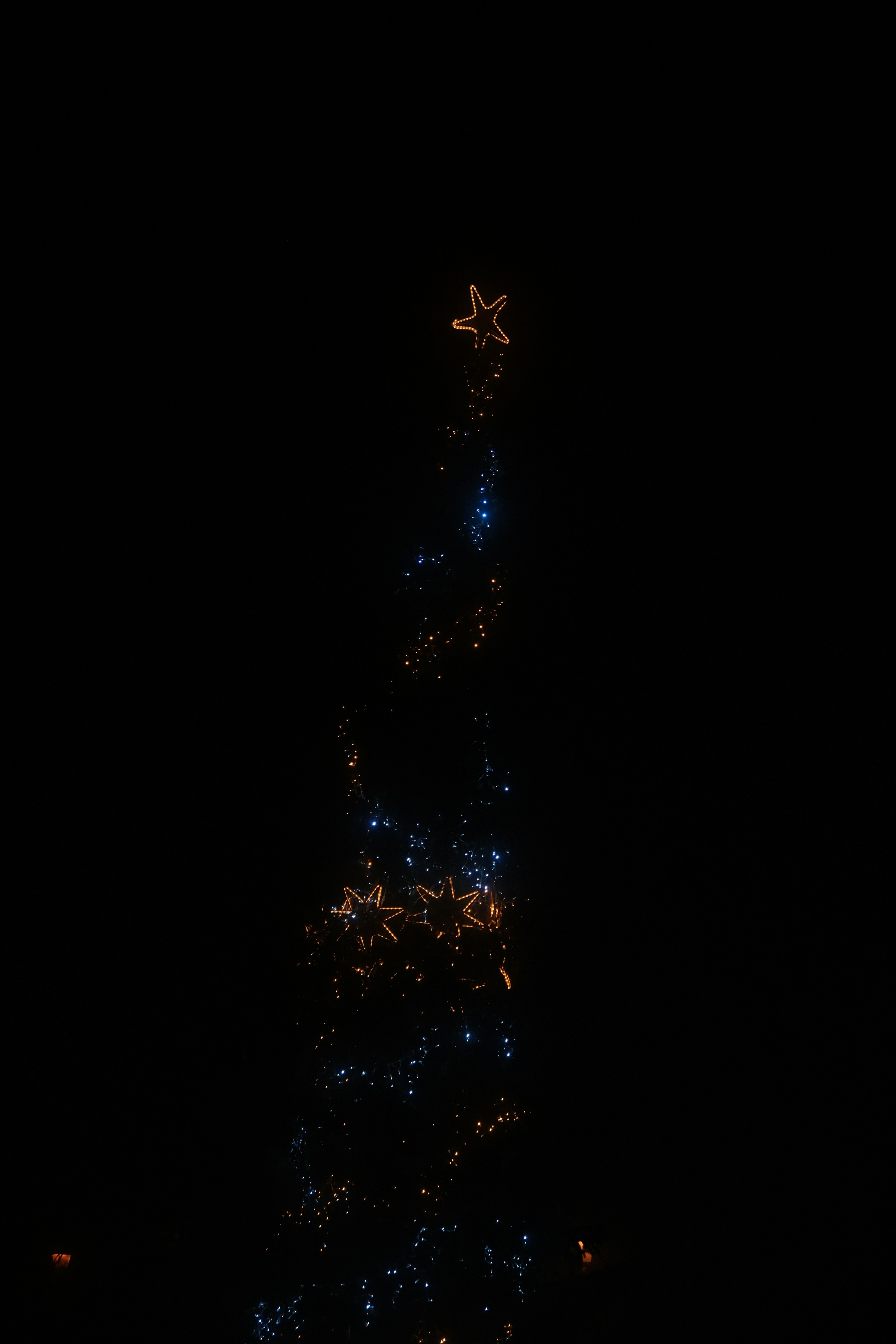 a very tall christmas tree lit up at night
