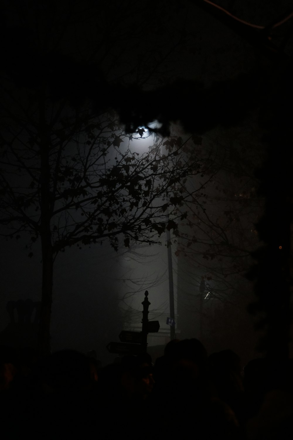 a foggy night with a street light in the distance