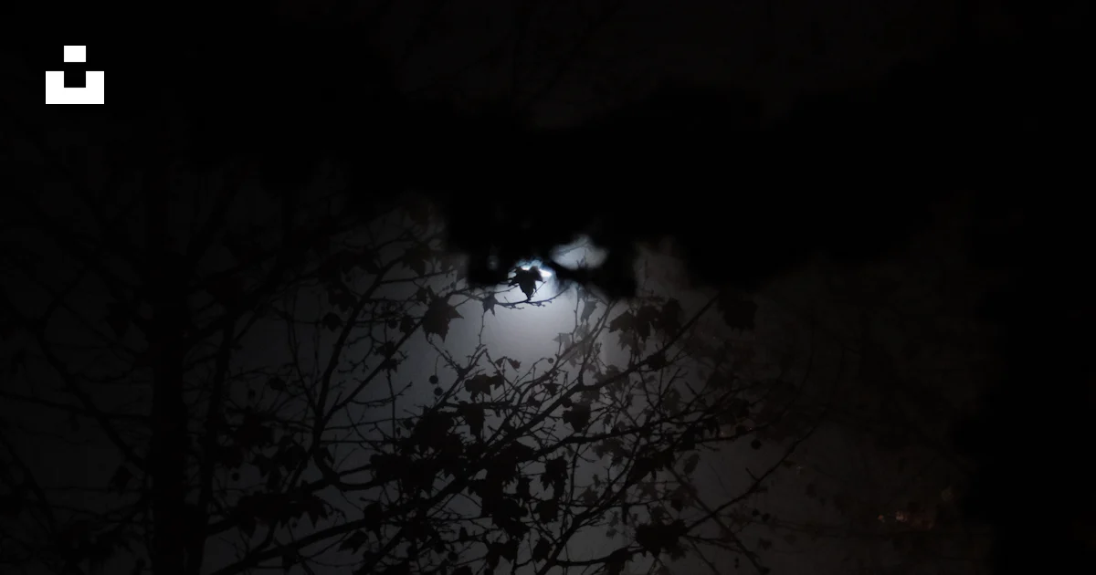 遠くに街灯が灯る霧の夜の写真 – Unsplashの人の無料画像