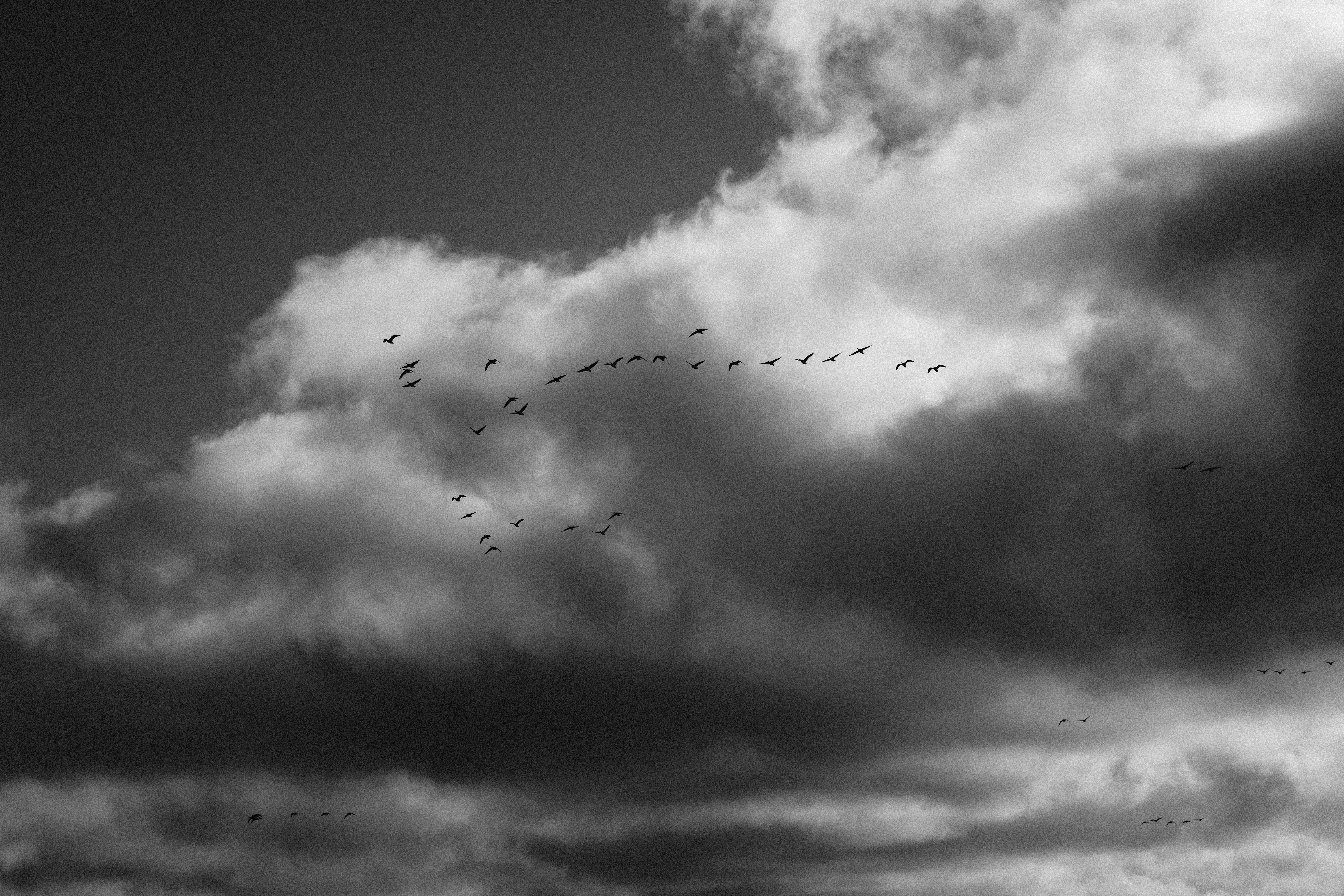 Photo by herr_bischoff