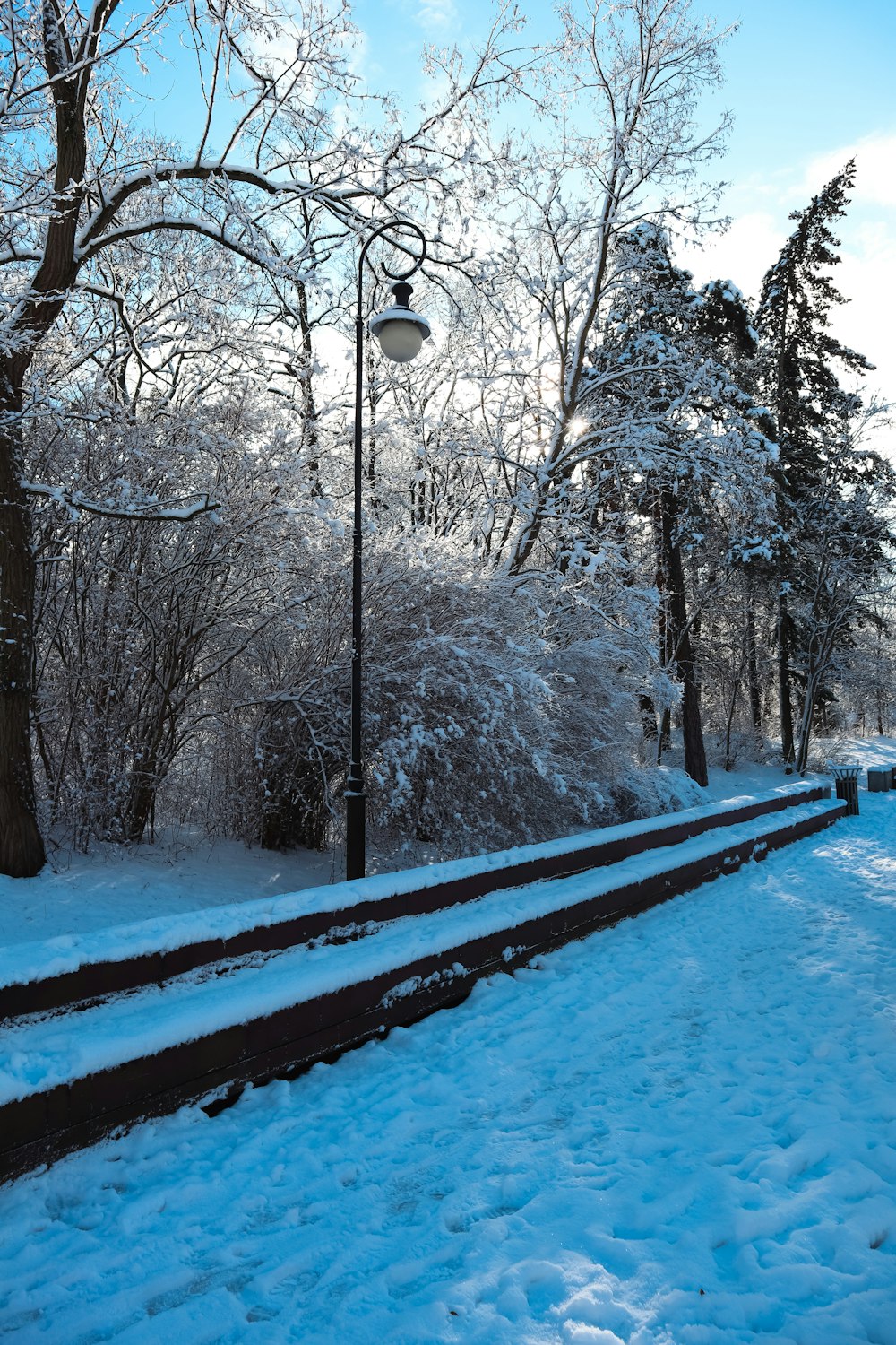 a snowy path with a street light and trees