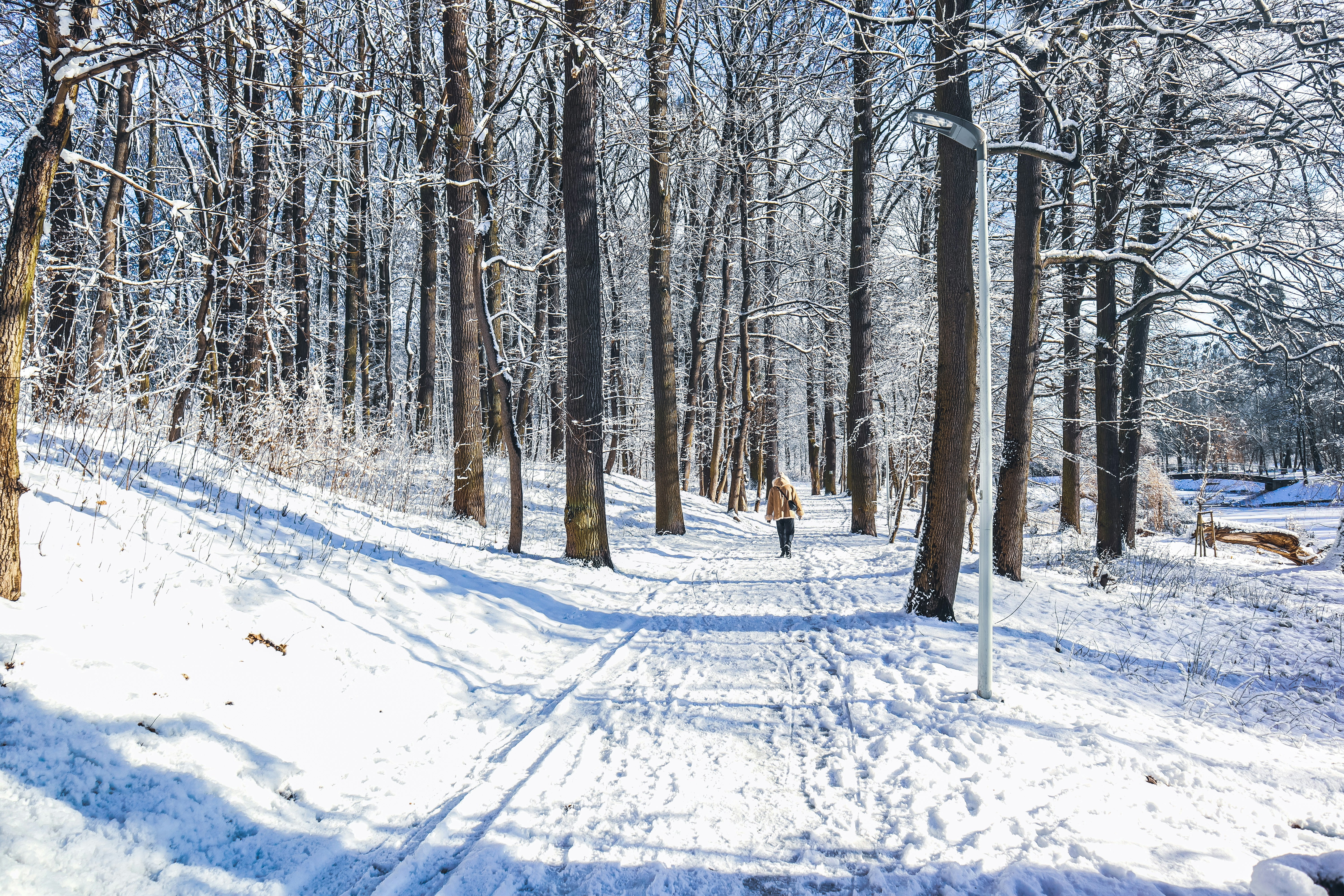 Photo by mugabo_library