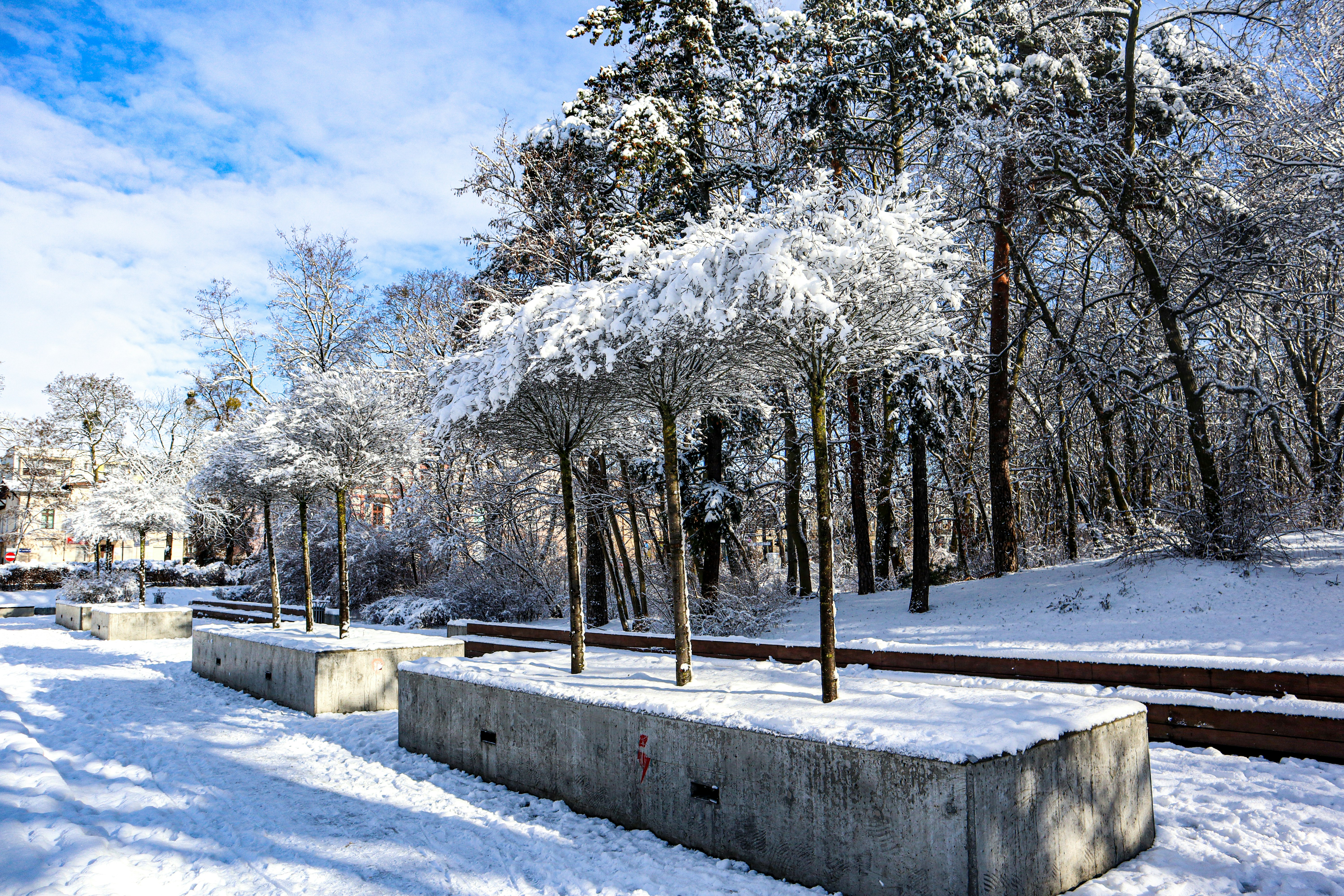 Image by Aimable Mugabo via Unsplash