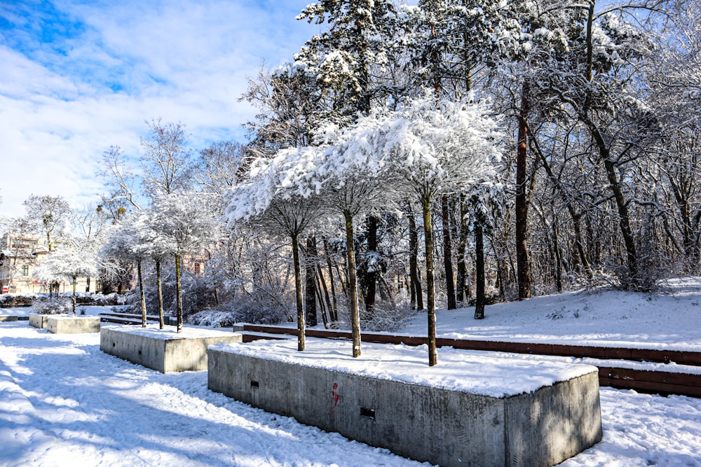 a snow covered park with benches and trees