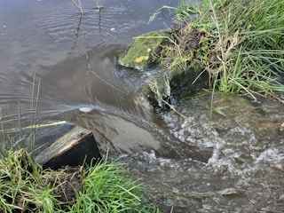 a small stream of water running through a lush green field