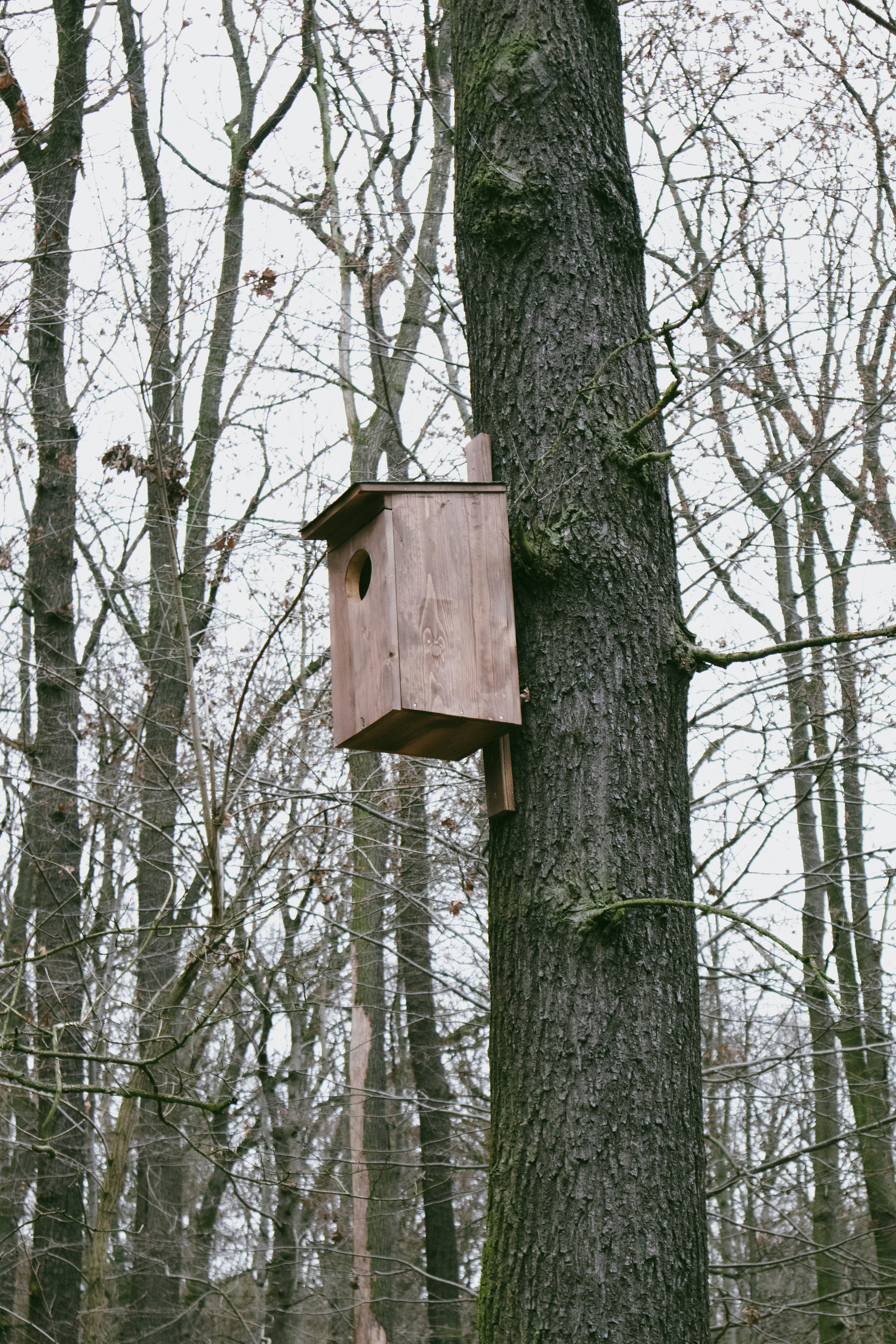 Photo by mugabo_library