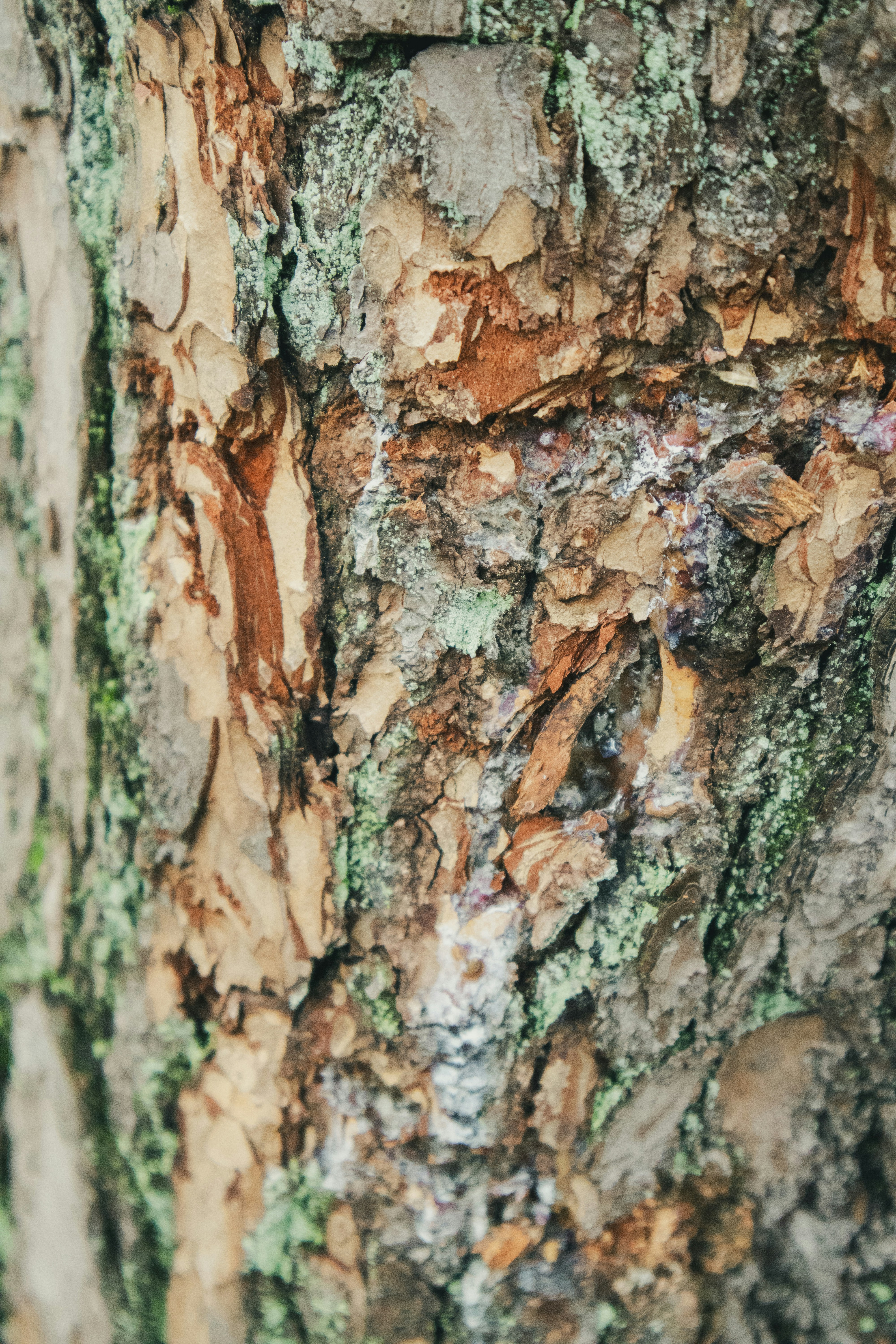 Photo by mugabo_library