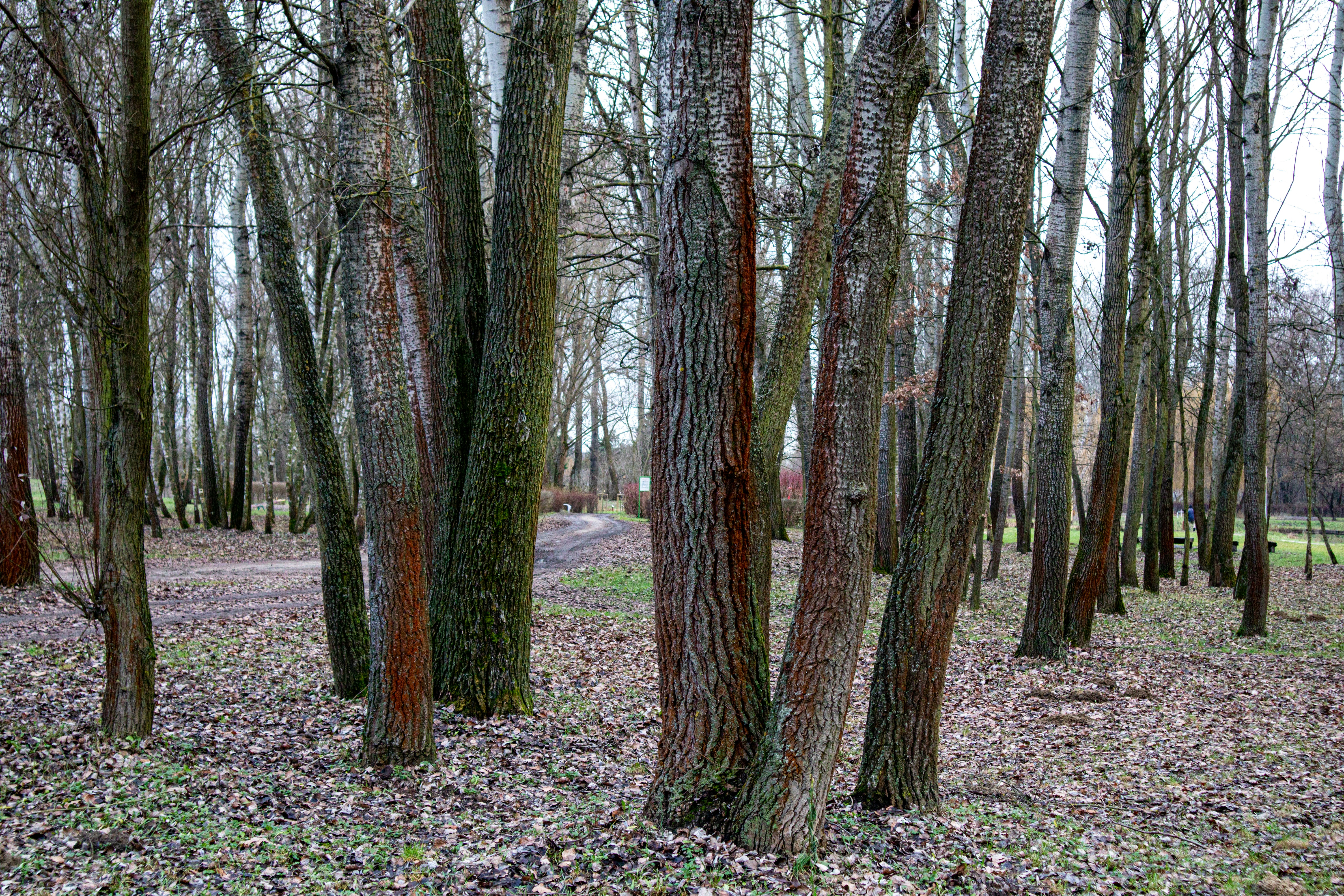 Photo by mugabo_library