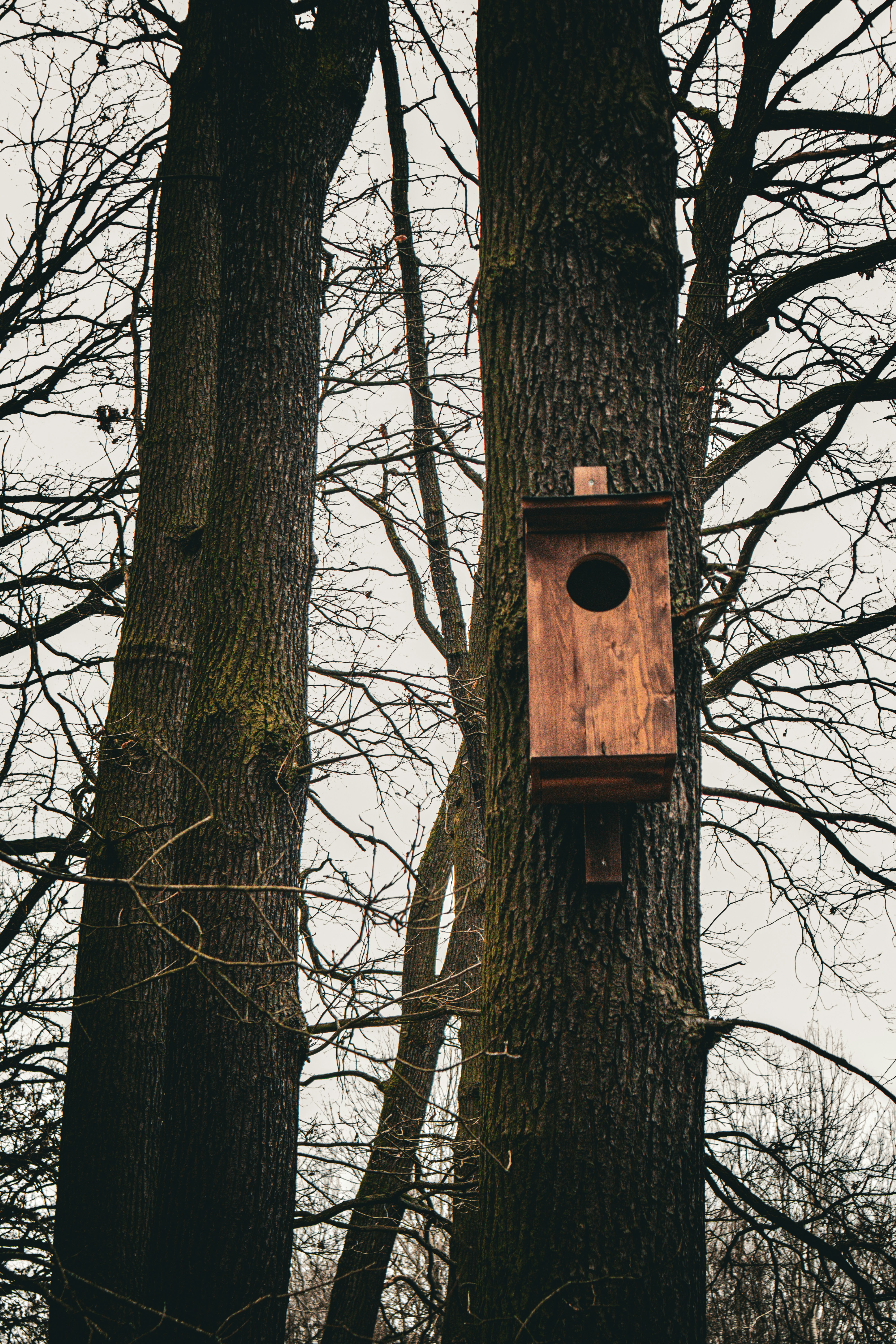 Photo by mugabo_library