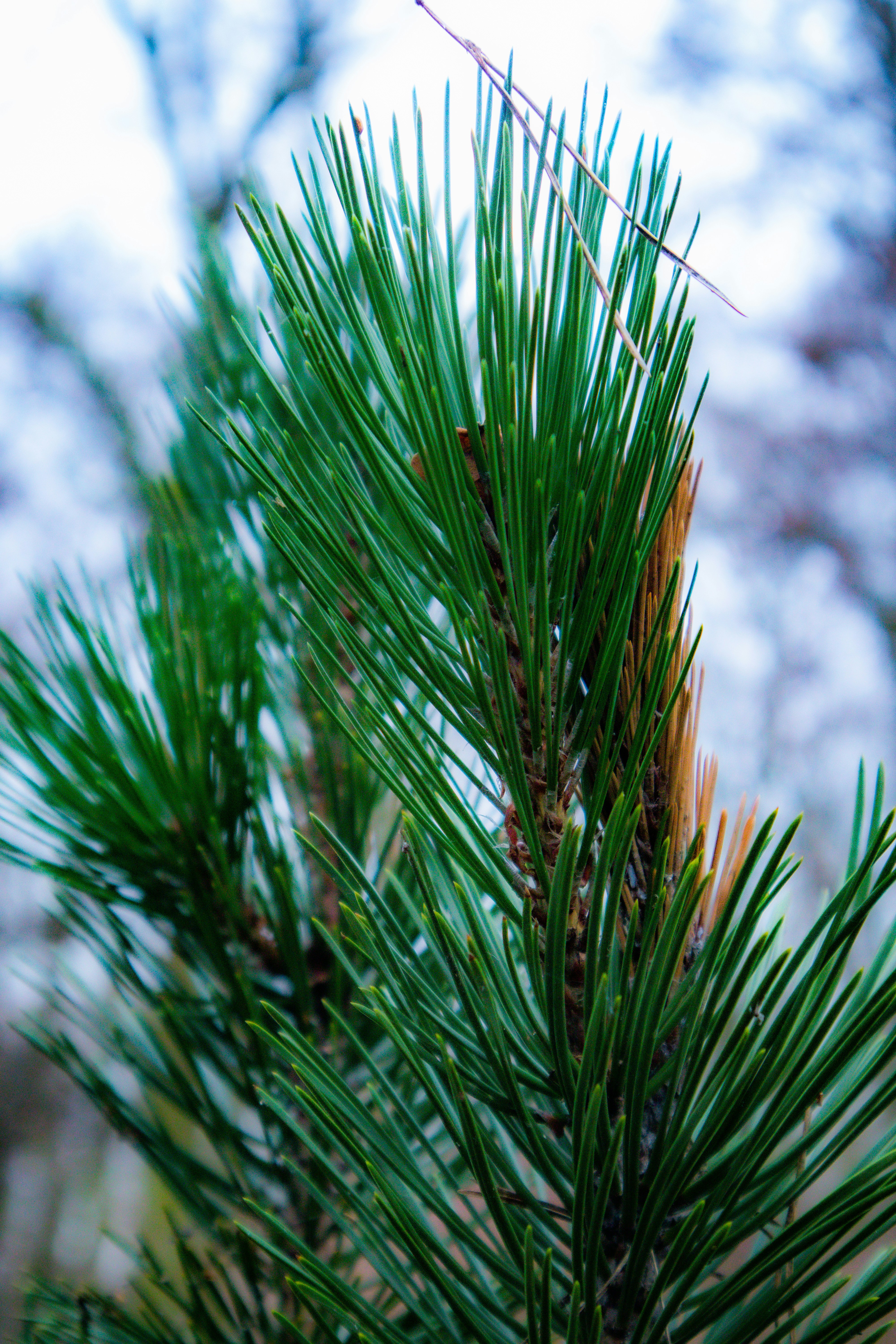 Photo by mugabo_library