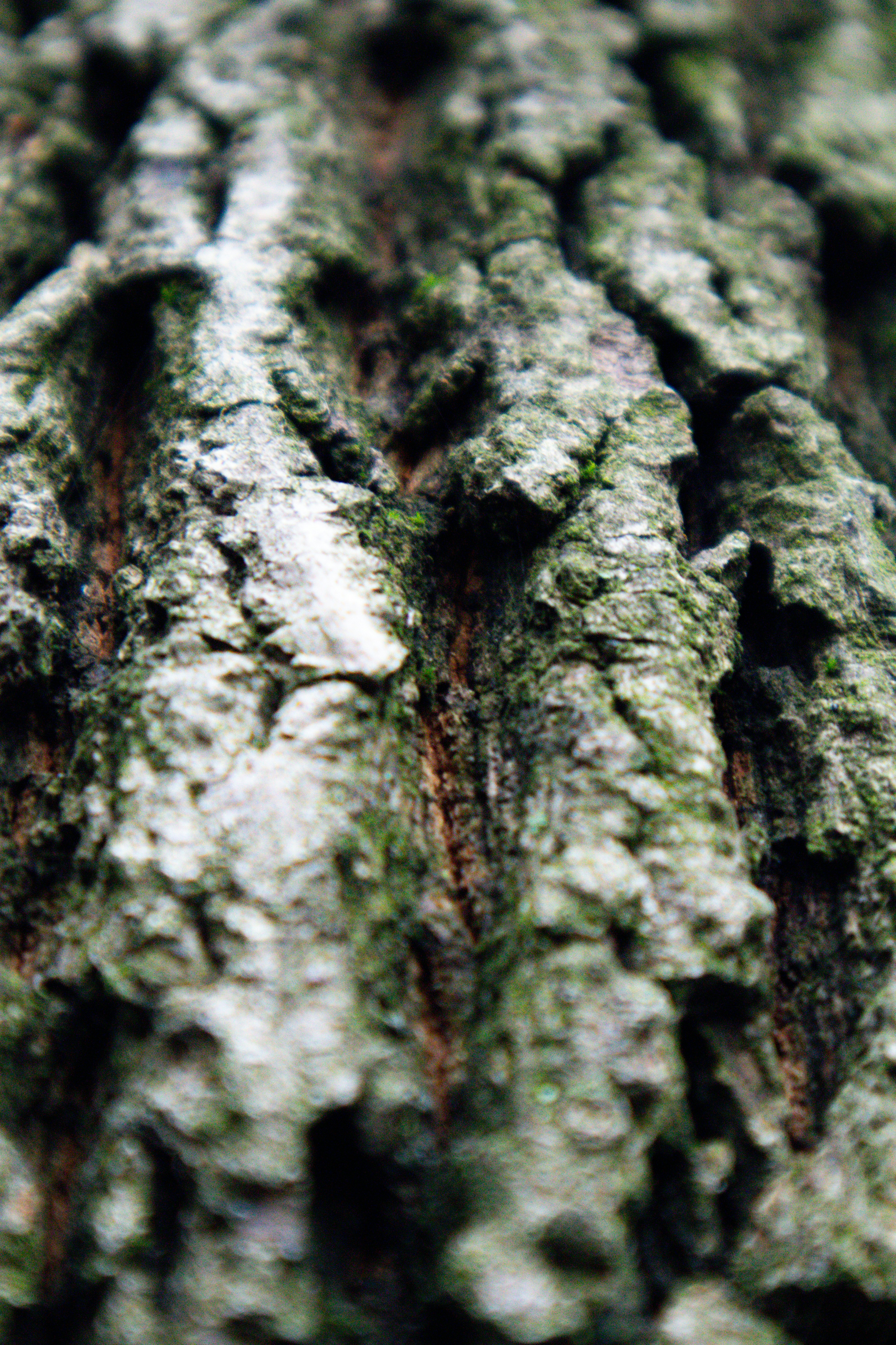 Photo by mugabo_library