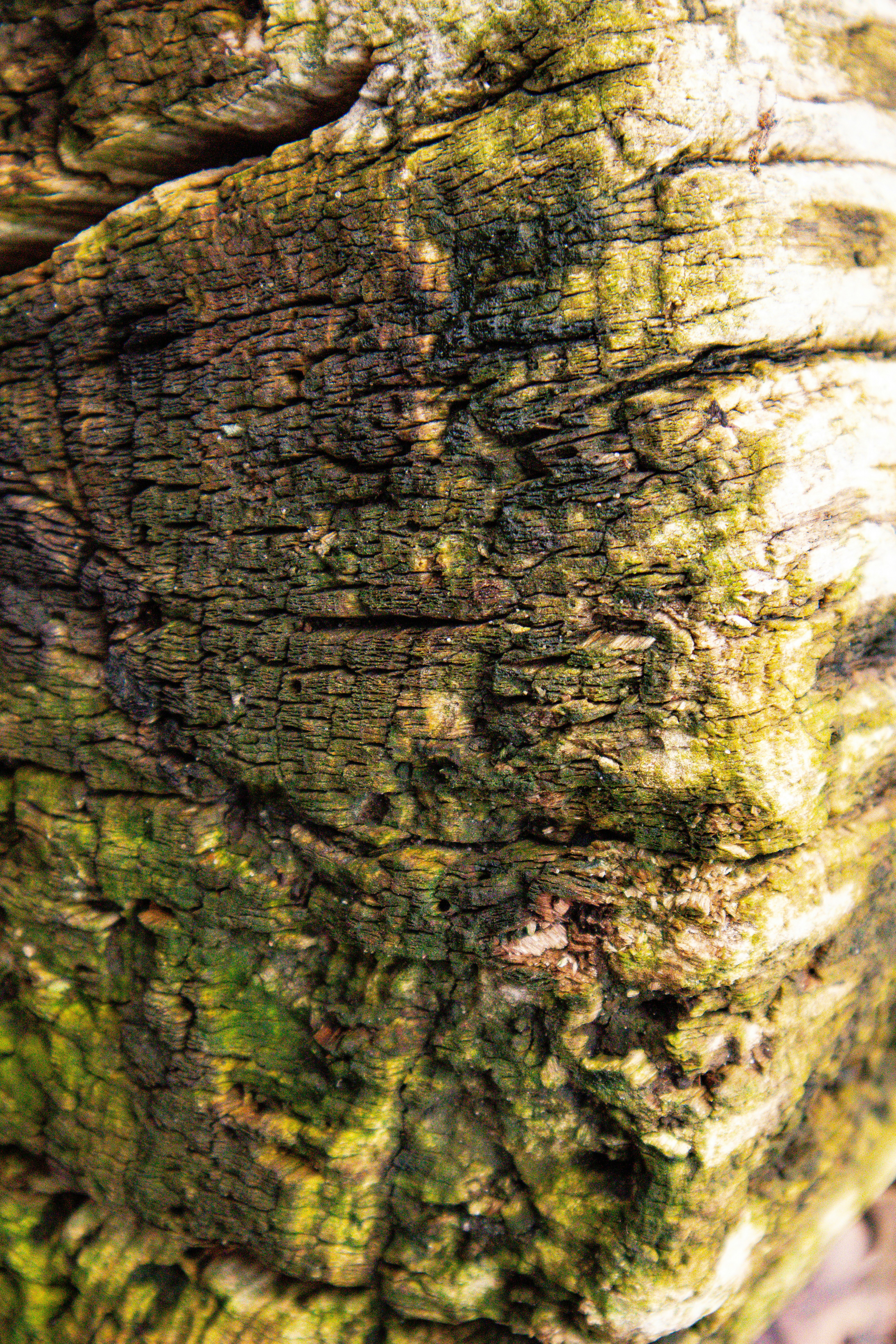 Photo by mugabo_library