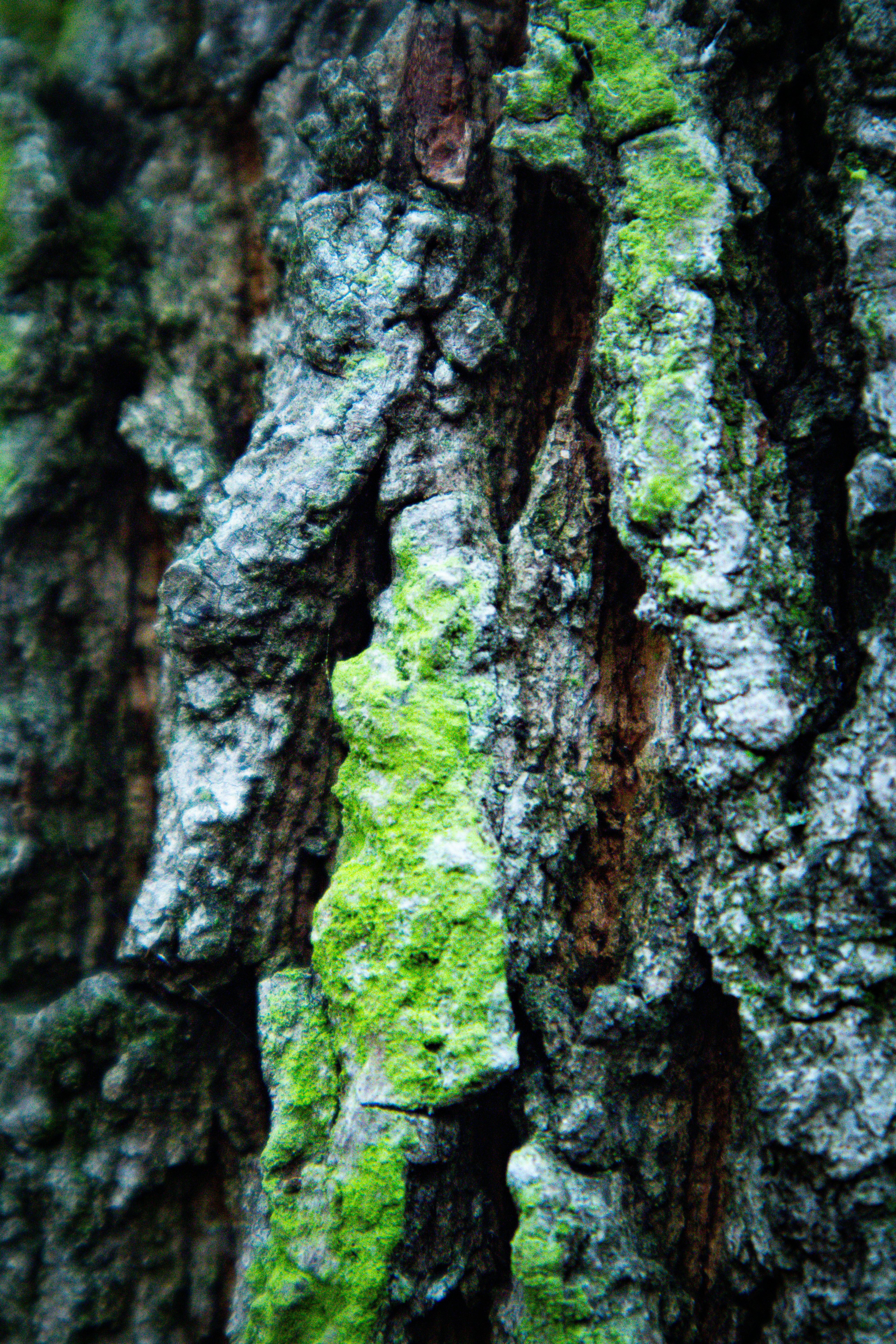 Photo by mugabo_library