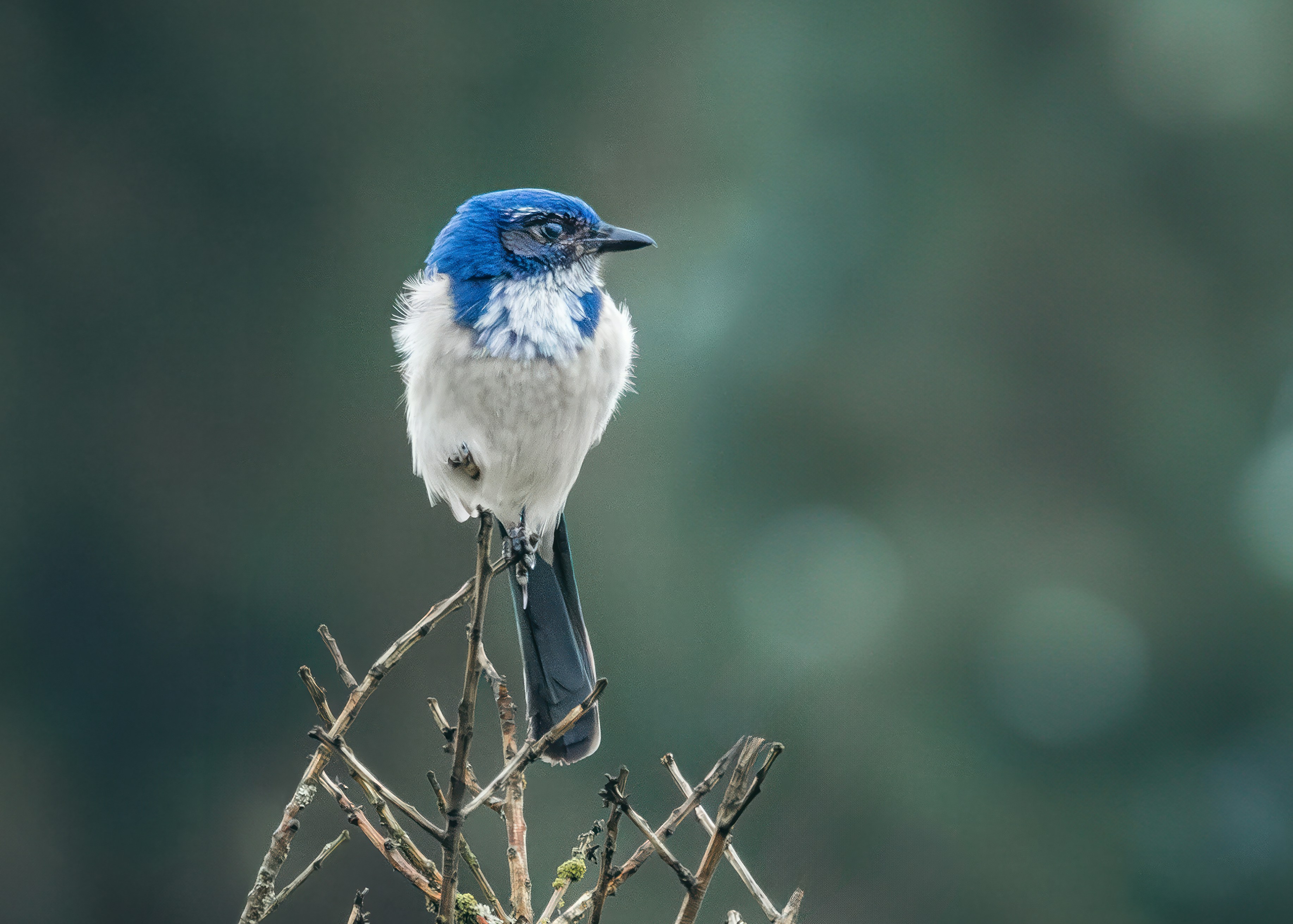 Photo by sailorgreg123