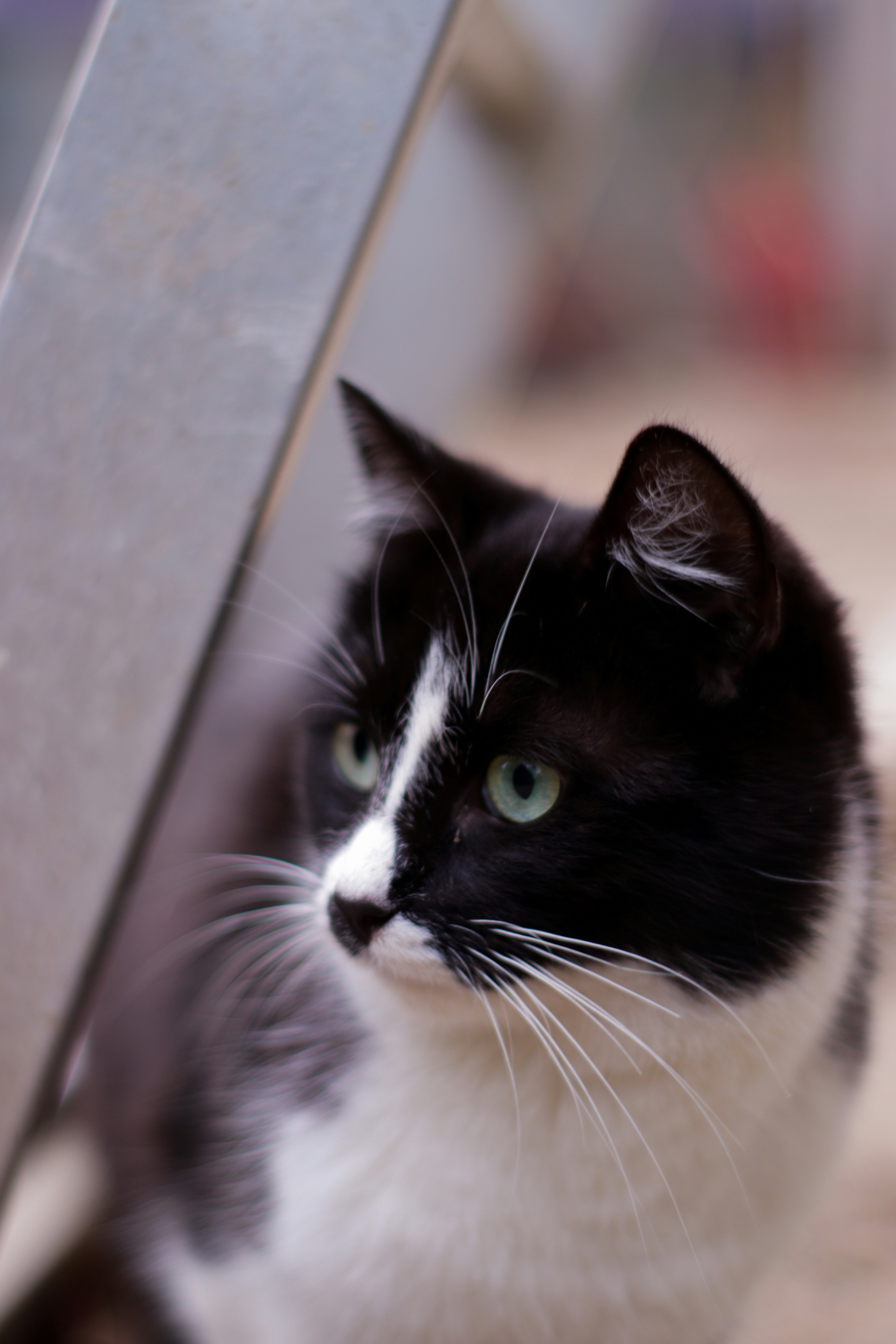 Photo by filip_lazar