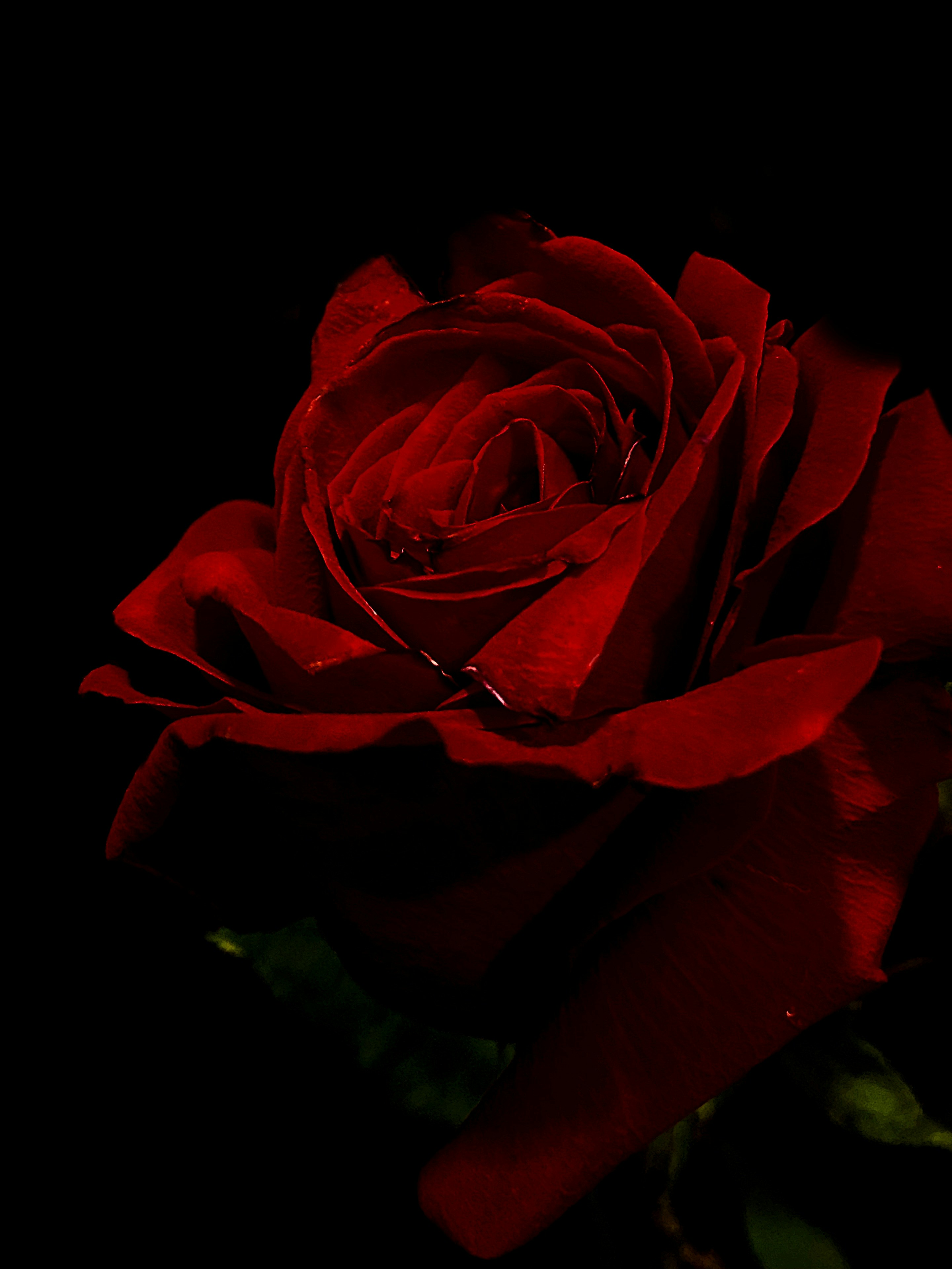 Photo by beutifulnature