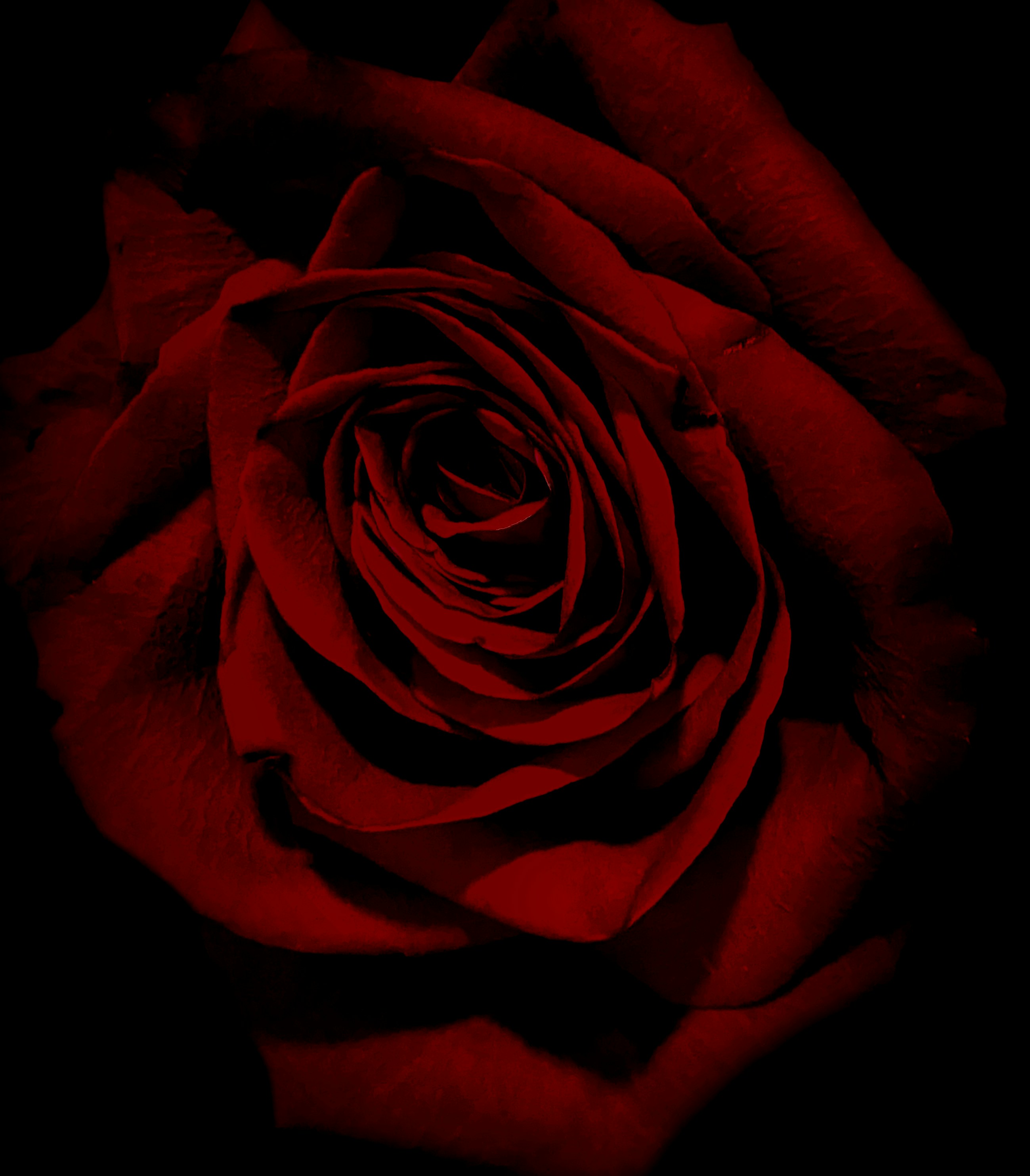 Photo by beutifulnature