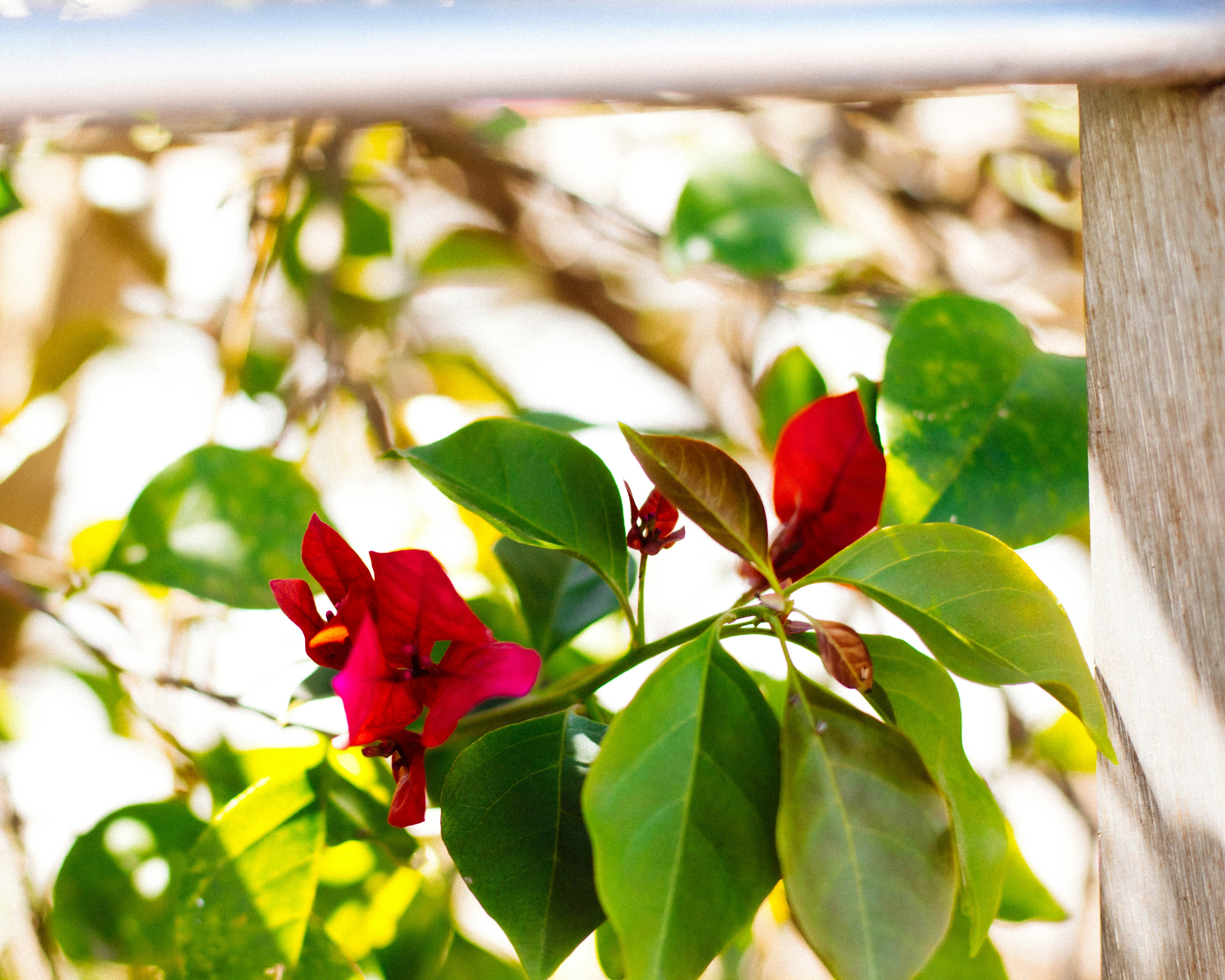 Photo by alexgallegos